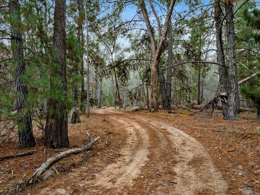 Lot 23 Tatong-Tolmie Rd, TATONG, VIC 3673, Tatong - Thumbnail 7
