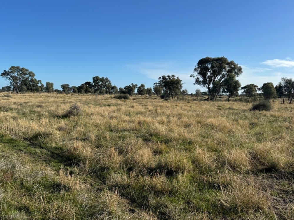 1500 Murrabit-Swan Hill Road, GONN, NSW 2732, Gonn - Image 1