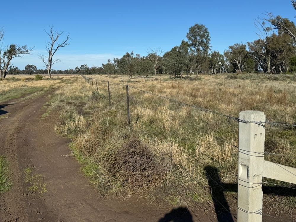 1500 Murrabit-Swan Hill Road, GONN, NSW 2732, Gonn - Thumbnail 4