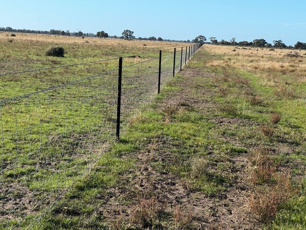 1500 Murrabit-Swan Hill Road, GONN, NSW 2732, Gonn - Thumbnail 5