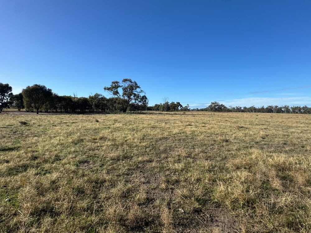 1500 Murrabit-Swan Hill Road, GONN, NSW 2732, Gonn - Thumbnail 6
