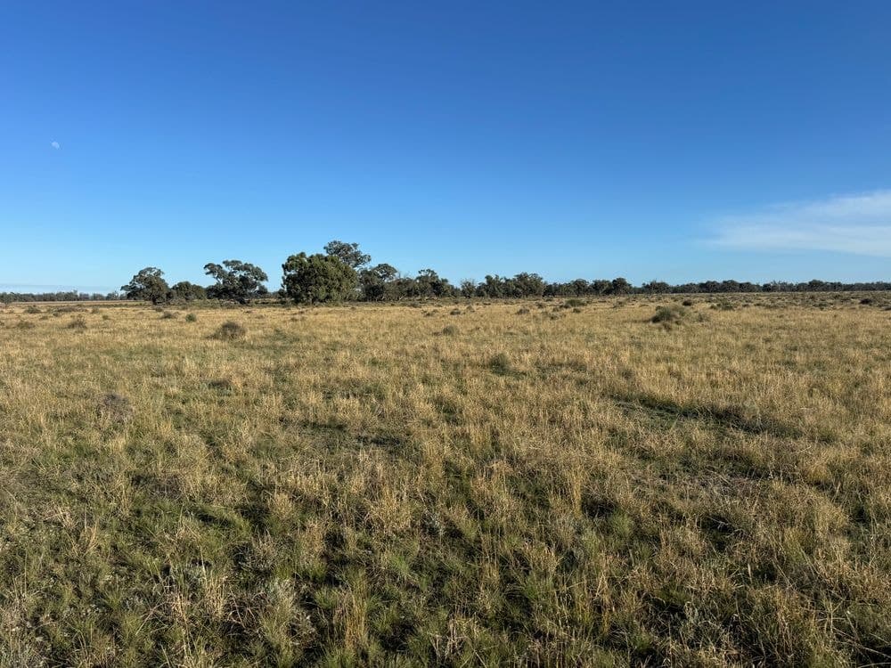 1500 Murrabit-Swan Hill Road, GONN, NSW 2732, Gonn - Thumbnail 7