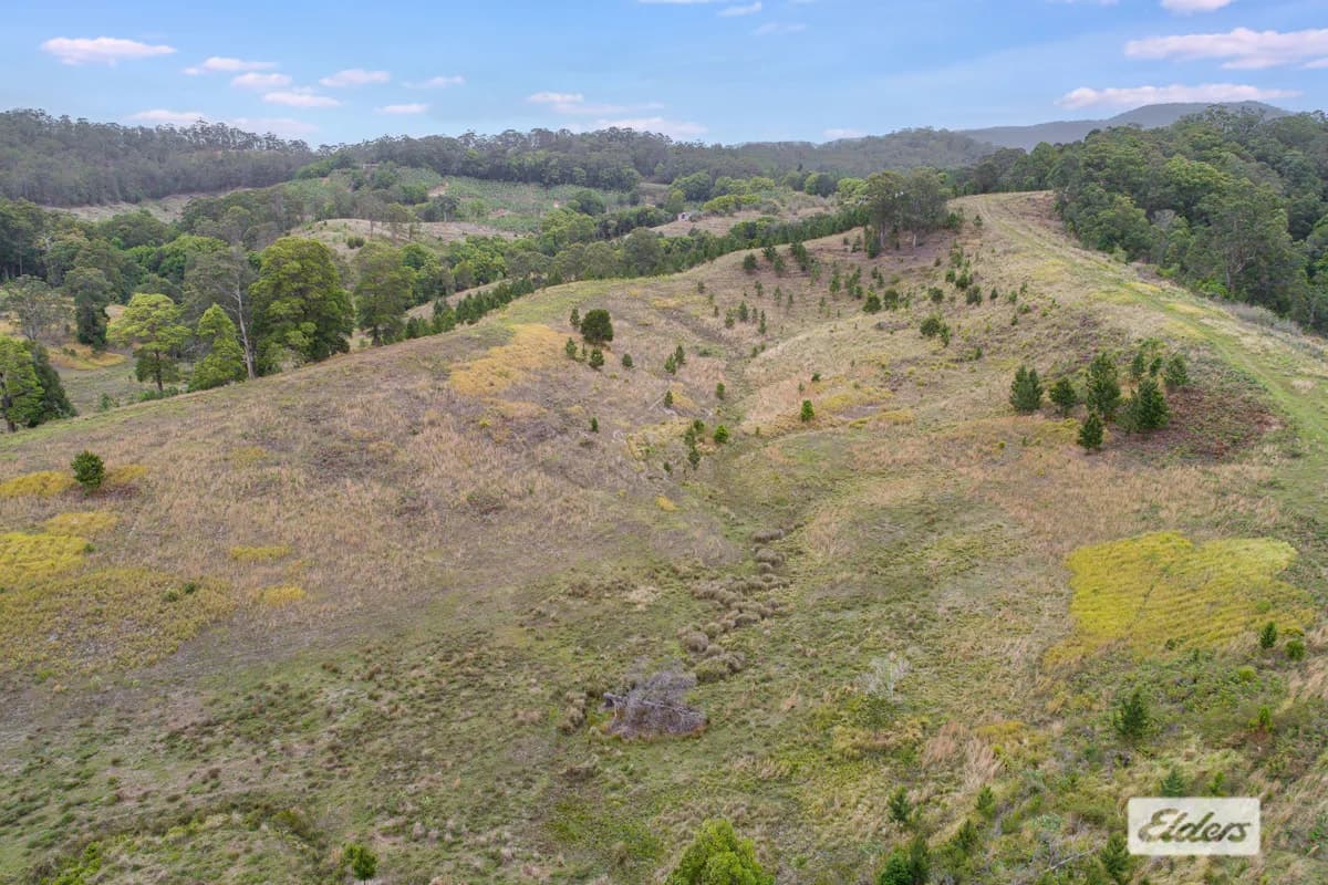2/300 Lundberg Drive, South Murwillumbah, NSW, 2484, South Murwillumbah - Thumbnail 3