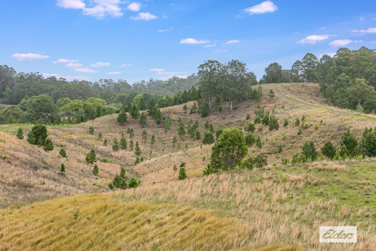 2/300 Lundberg Drive, South Murwillumbah, NSW, 2484, South Murwillumbah - Thumbnail 6