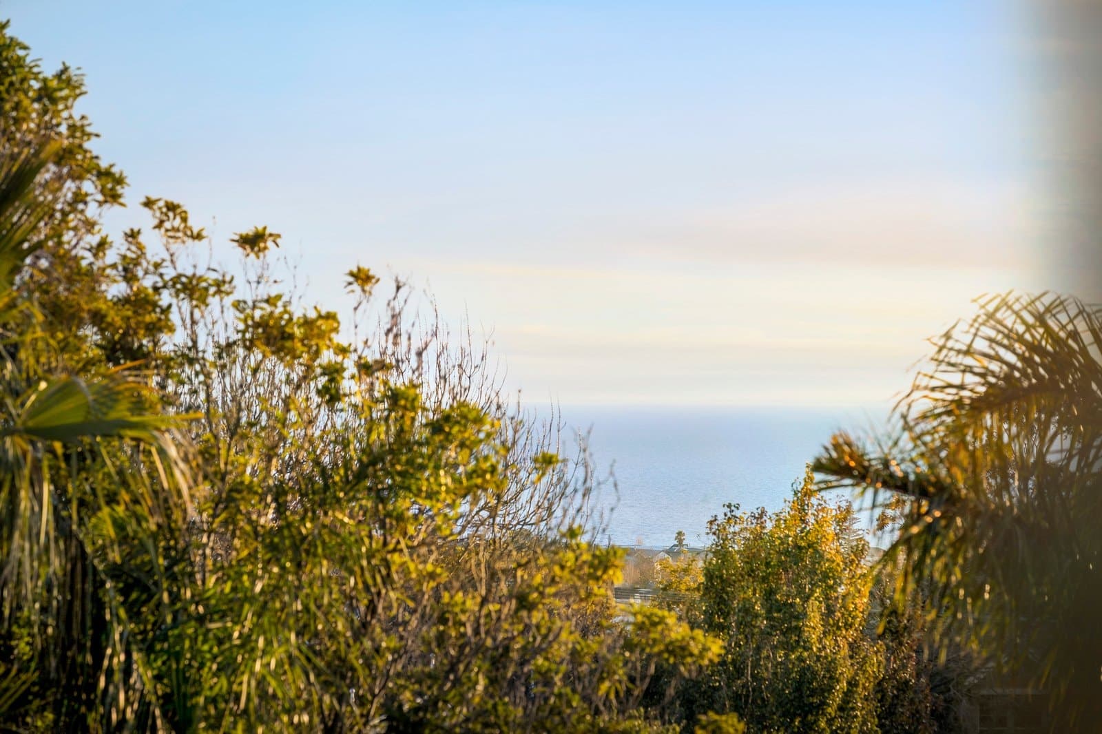 4 Butler Avenue, Mornington - Thumbnail 6