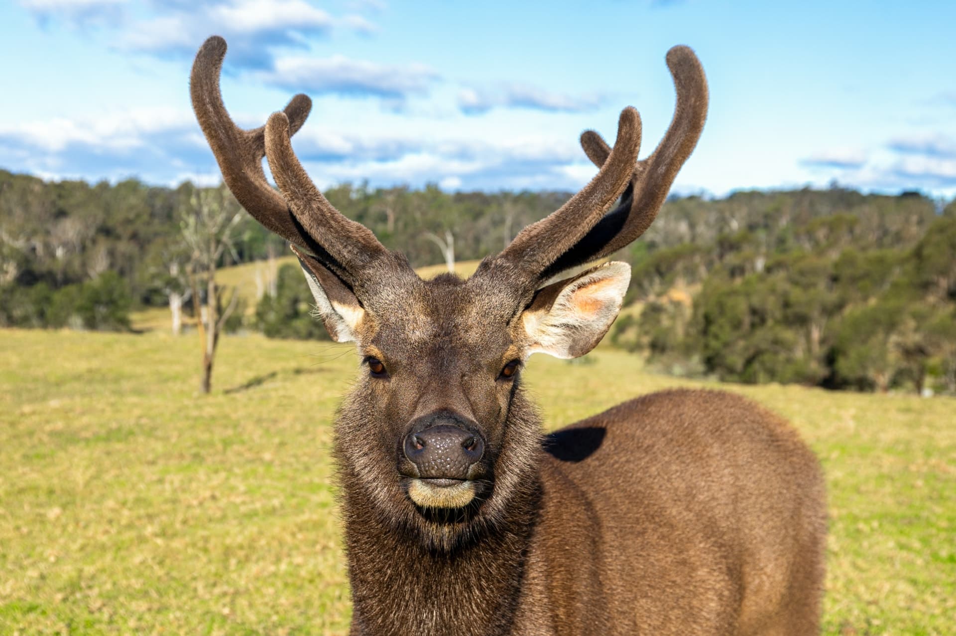 235 Wamban Road, Moruya, Moruya - Thumbnail 5