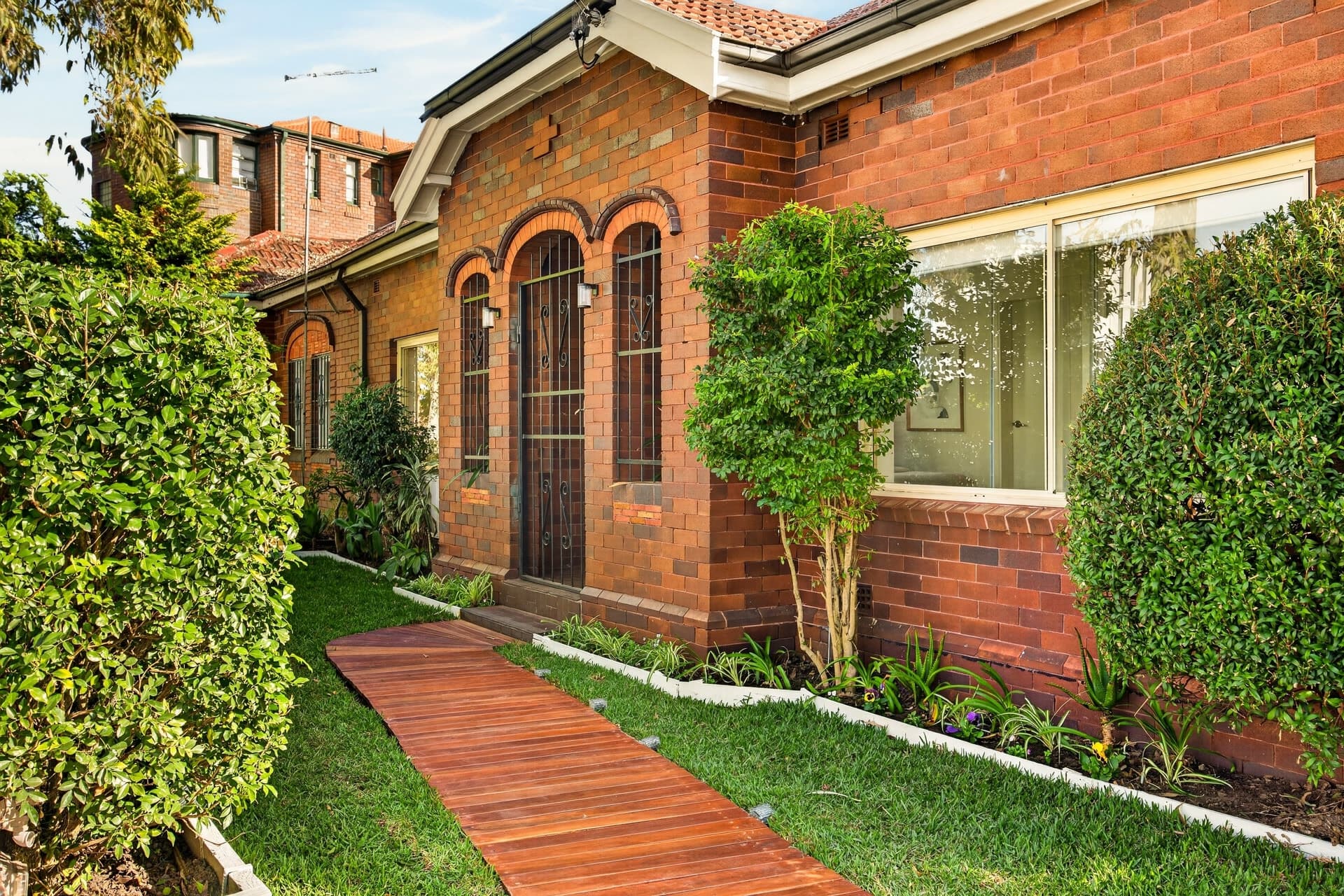 446 Avoca Street, Kingsford, Kingsford - Thumbnail 8