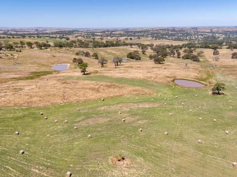 10/ Warmington Run, Mount Torrens, Mount Torrens - Image 1