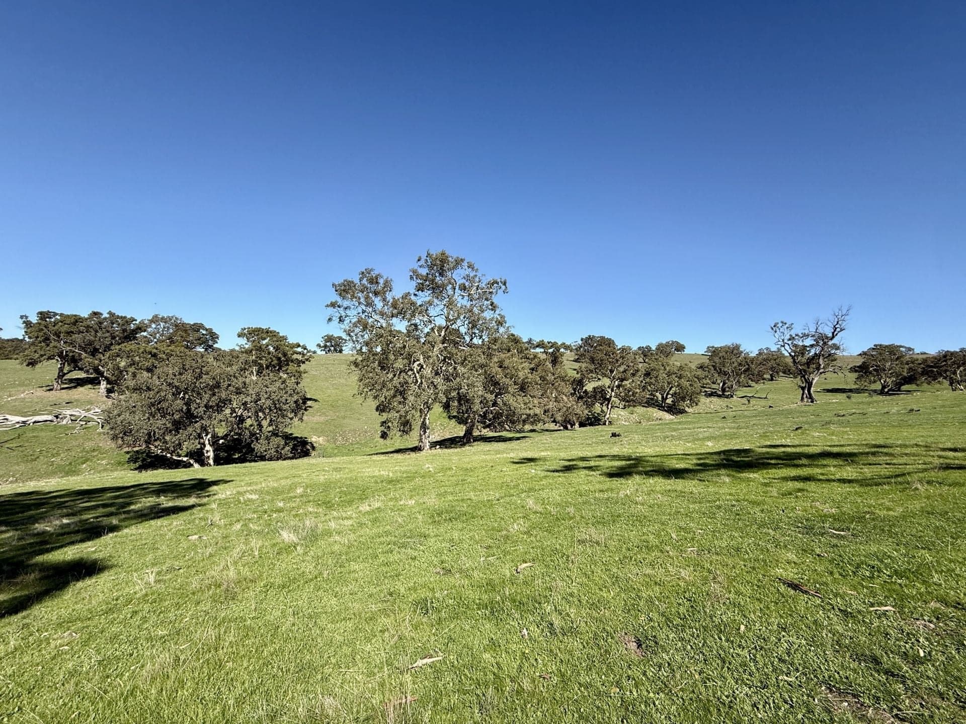 10/ Warmington Run, Mount Torrens, Mount Torrens - Thumbnail 2
