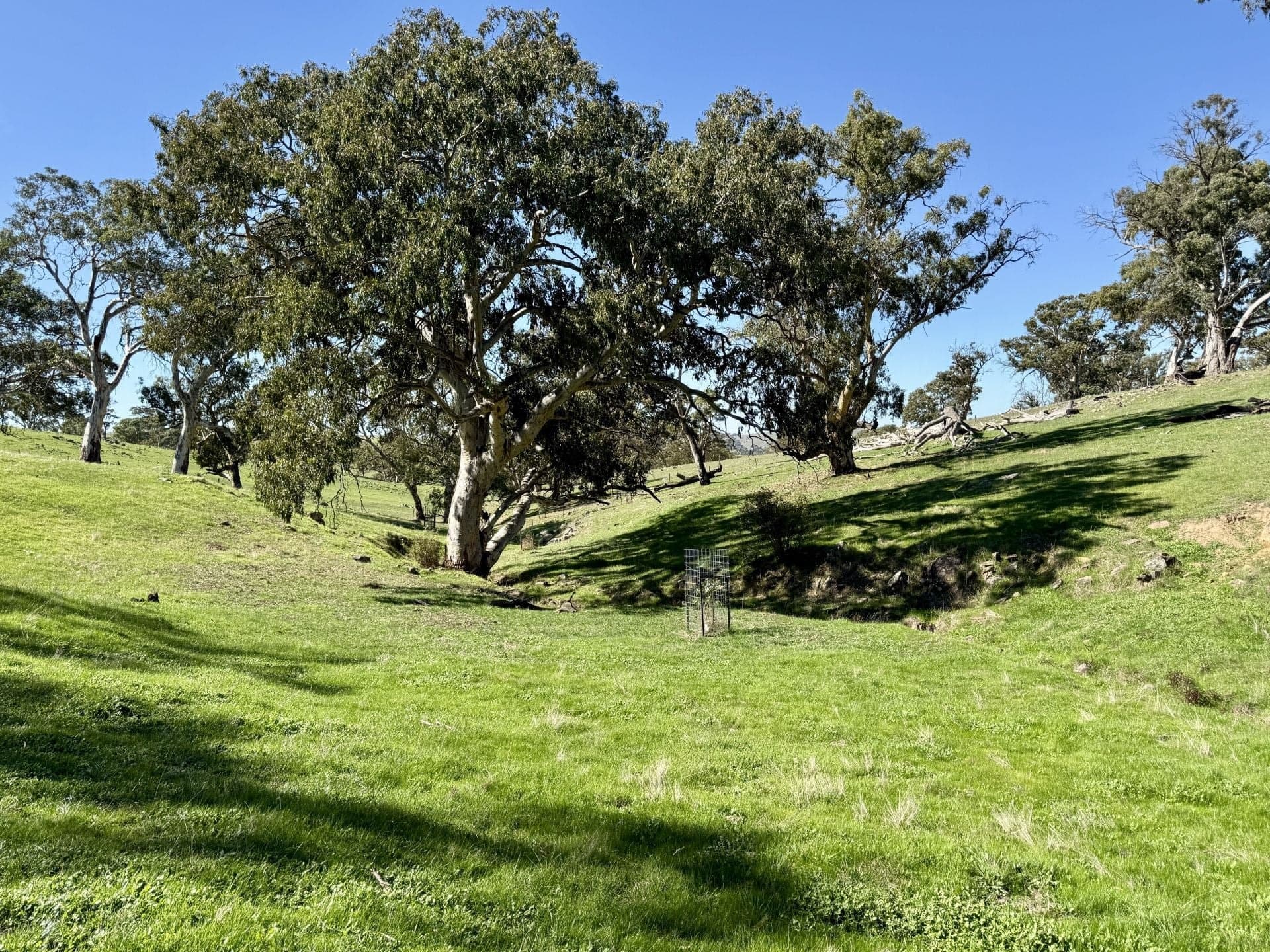 10/ Warmington Run, Mount Torrens, Mount Torrens - Thumbnail 3