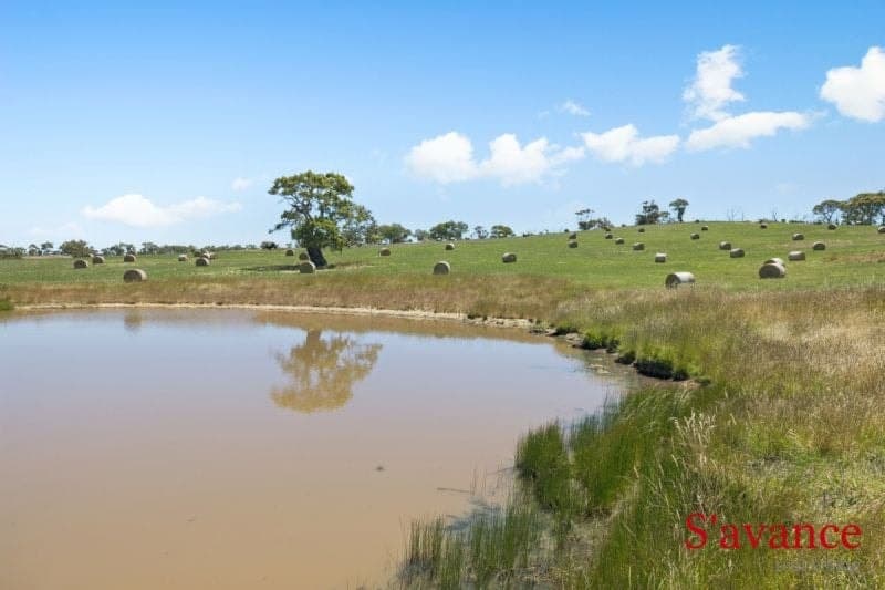 10/ Warmington Run, Mount Torrens, Mount Torrens - Thumbnail 6