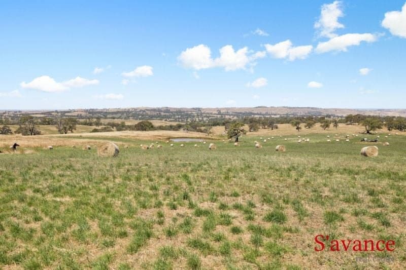 10/ Warmington Run, Mount Torrens, Mount Torrens - Thumbnail 8