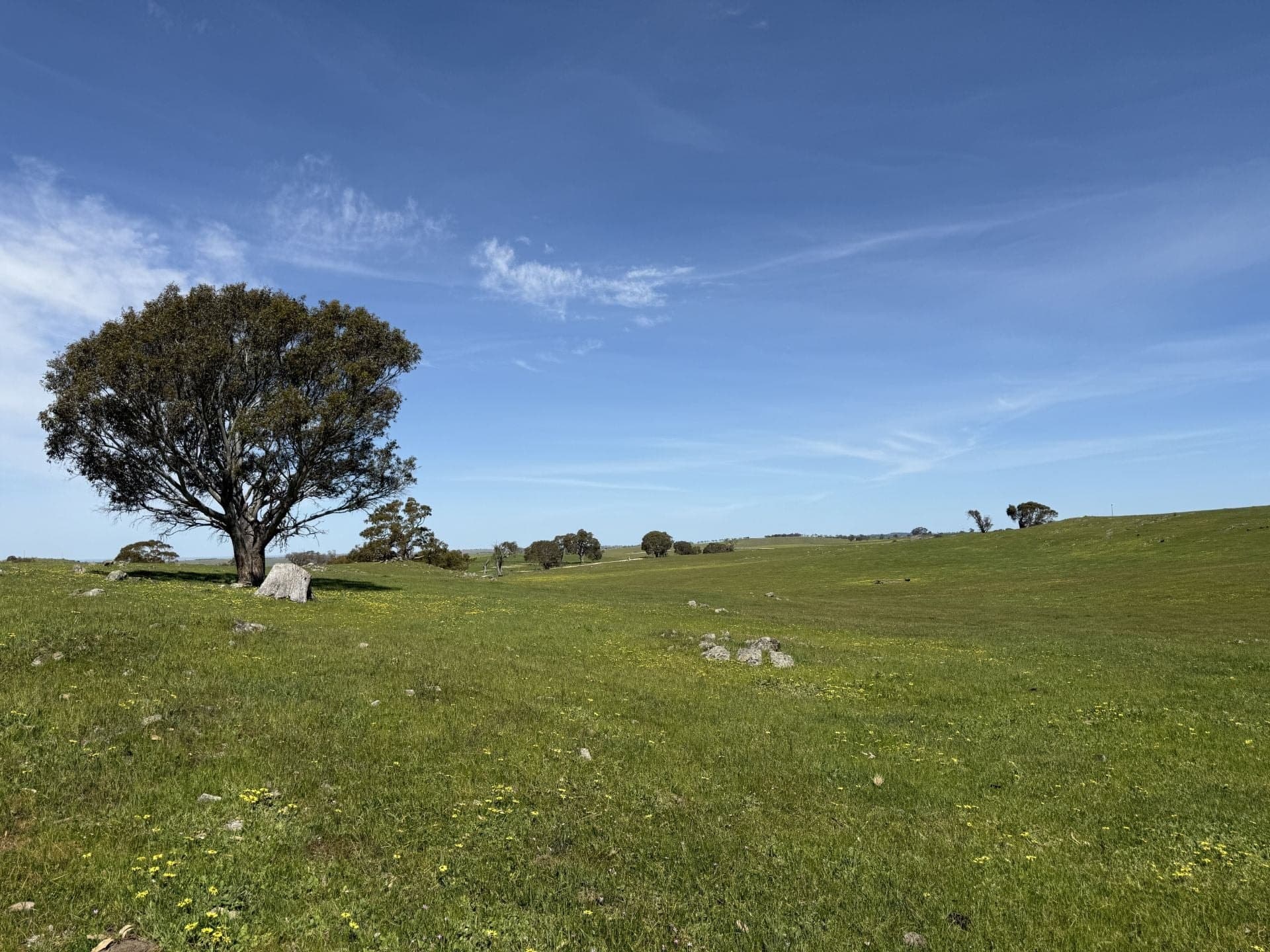 Lot 115 Mcgormans Road Tungkillo SA, Tungkillo - Thumbnail 6