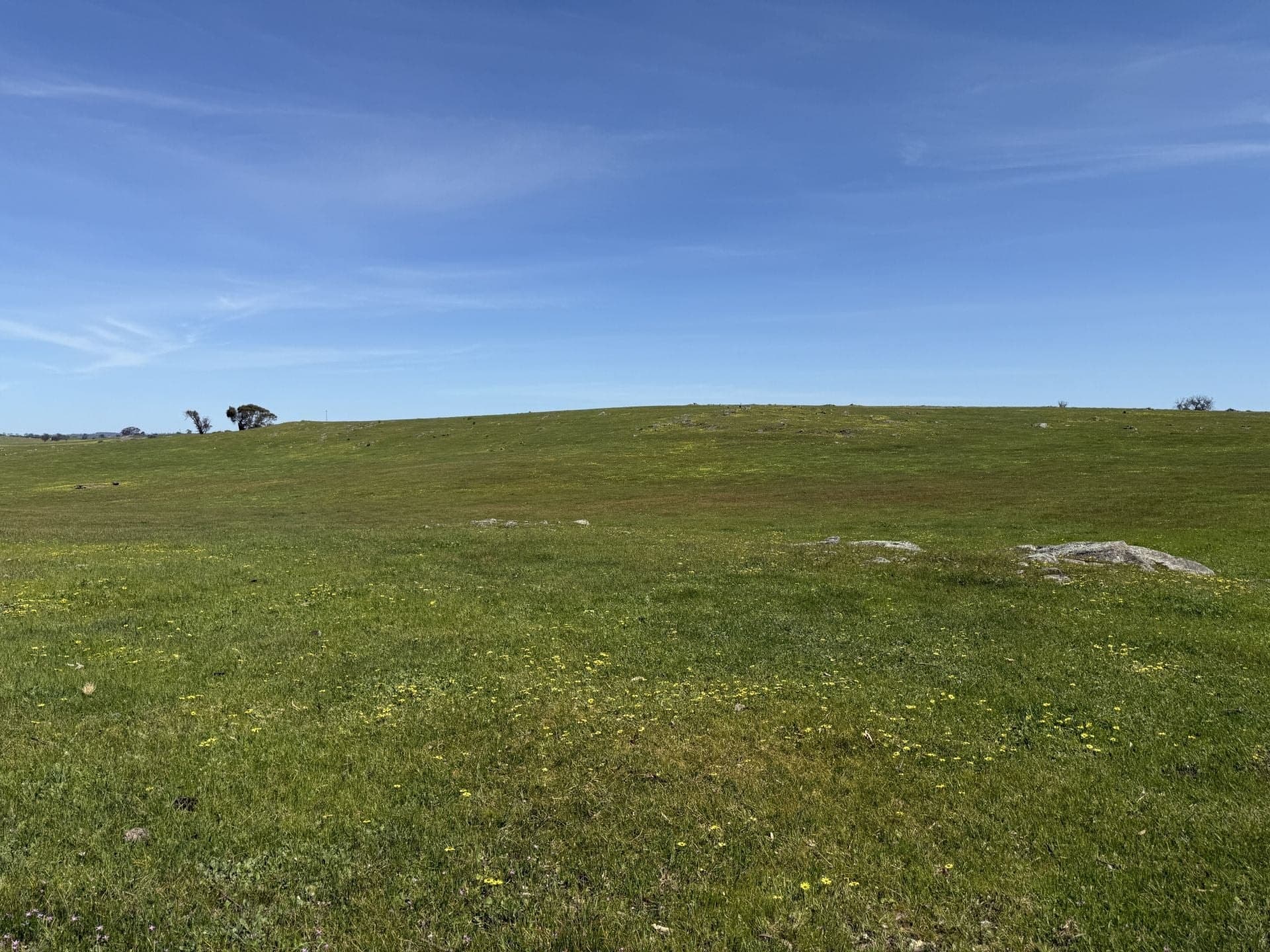 Lot 115 Mcgormans Road Tungkillo SA, Tungkillo - Thumbnail 7