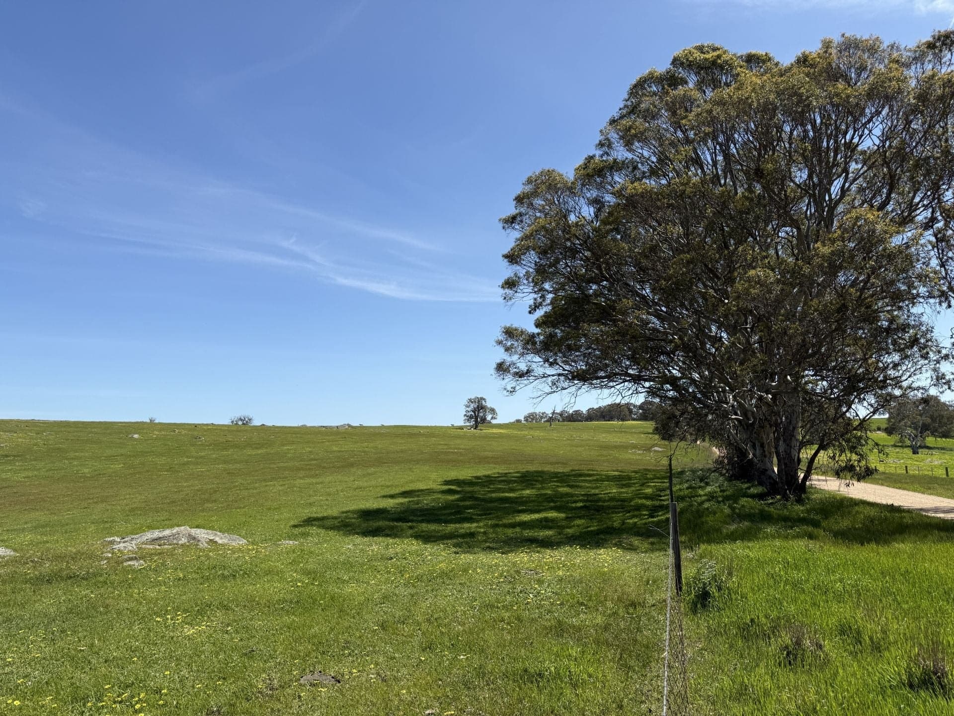 Lot 115 Mcgormans Road Tungkillo SA, Tungkillo - Thumbnail 8