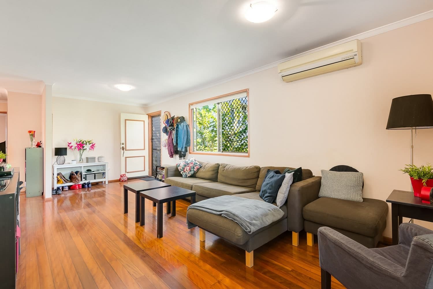 11 Agnew Street, Norman Park - Thumbnail 5