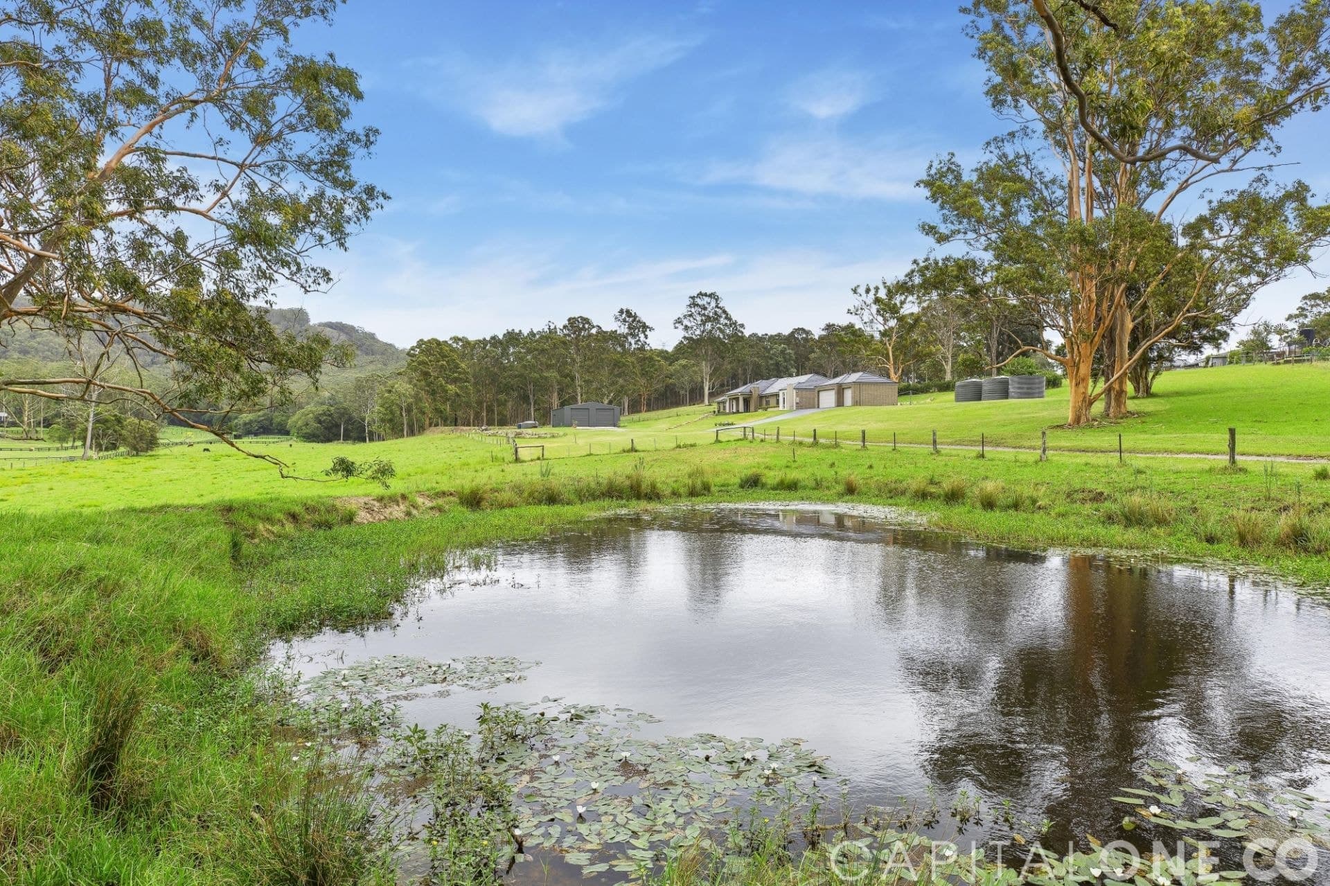 878 Jilliby Road, Dooralong NSW, Dooralong - Thumbnail 7