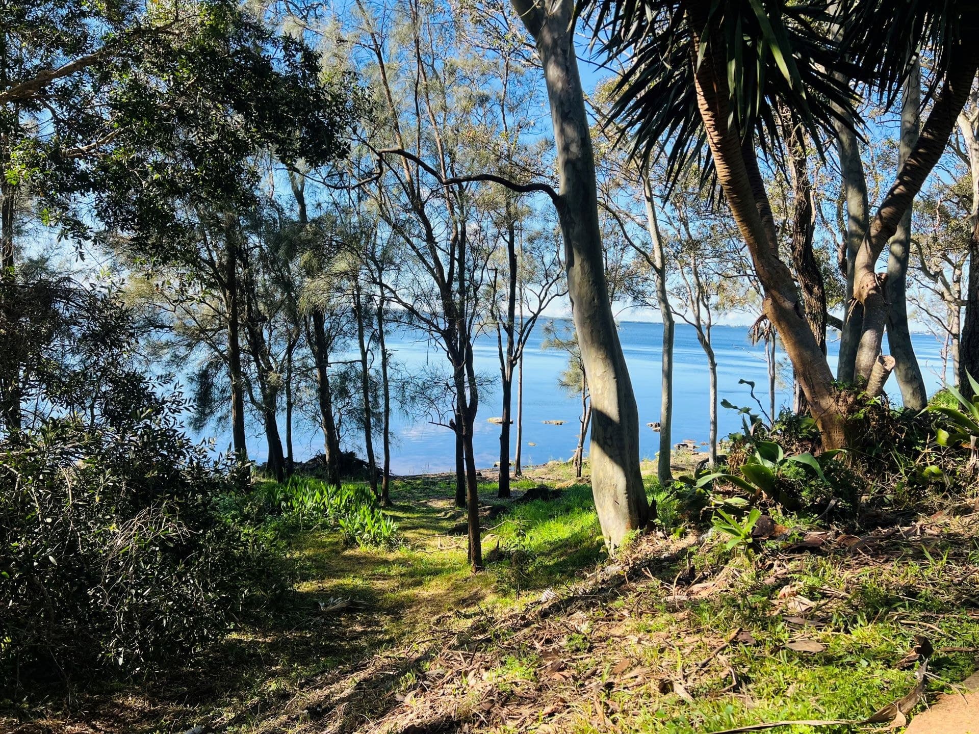 2/38 Tuggerawong Road, Wyongah NSW, Wyongah - Thumbnail 6