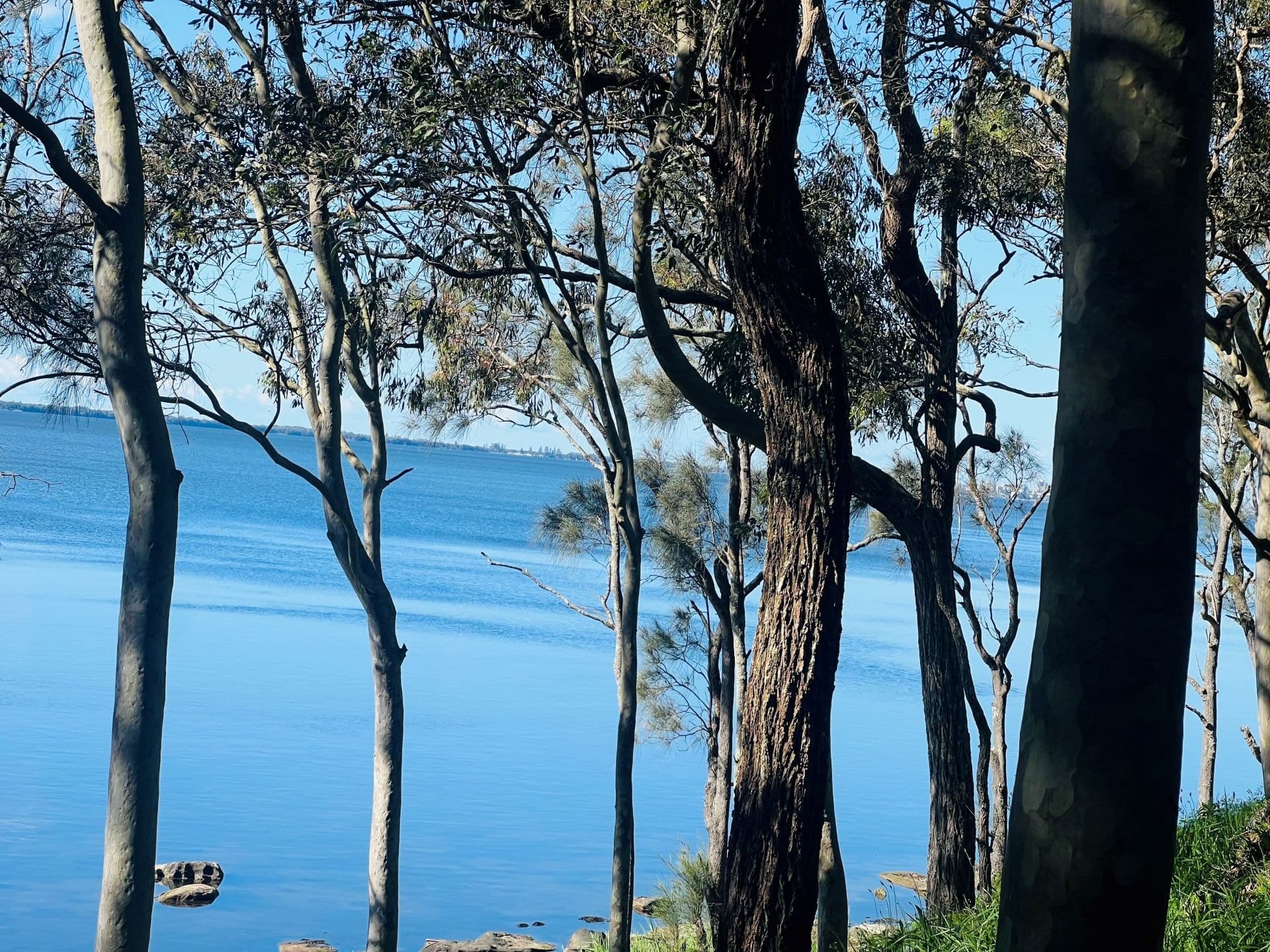 2/38 Tuggerawong Road, Wyongah NSW, Wyongah - Thumbnail 8