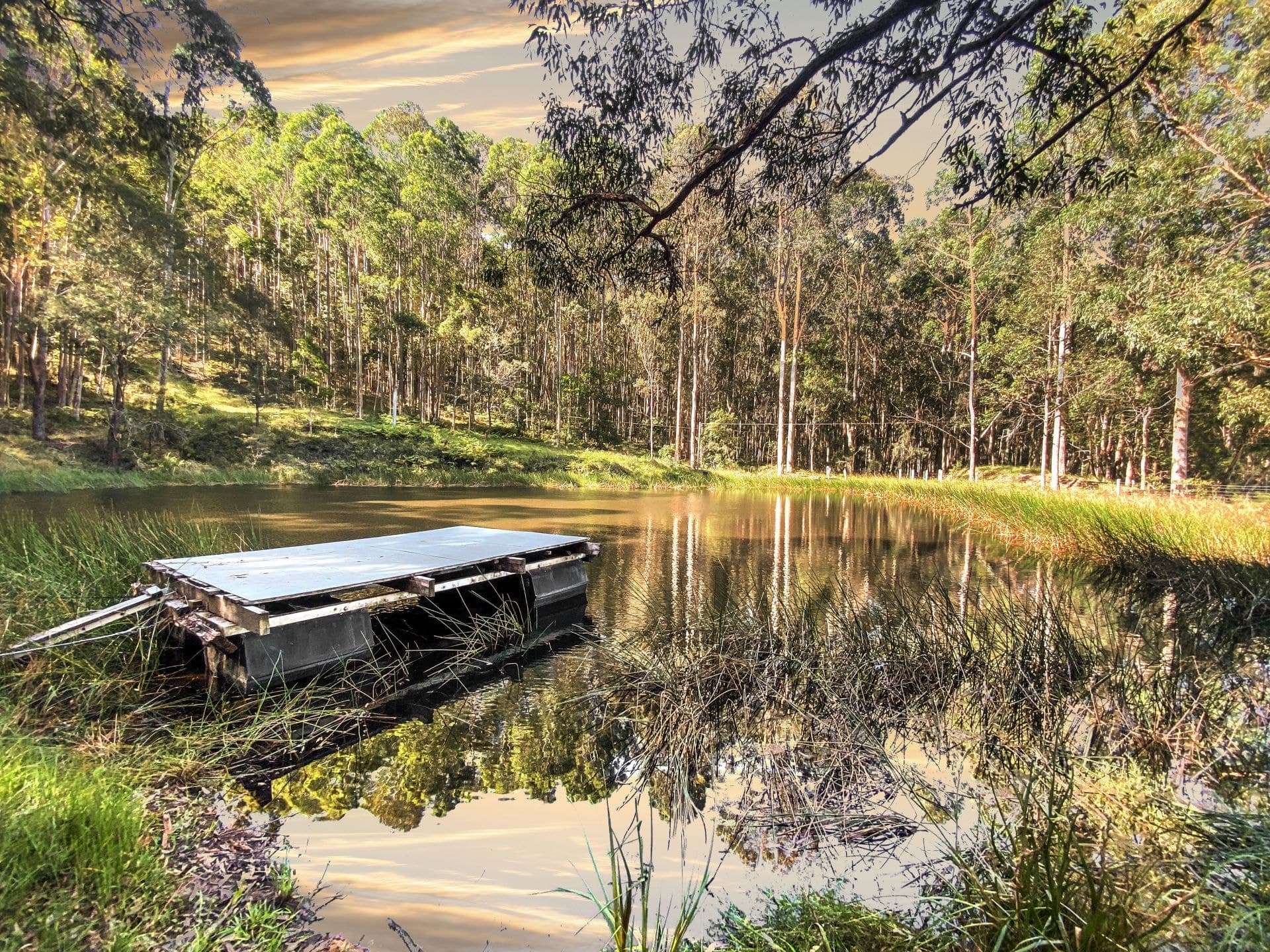 676 Dicksons Road, Jilliby NSW, Jilliby - Thumbnail 4