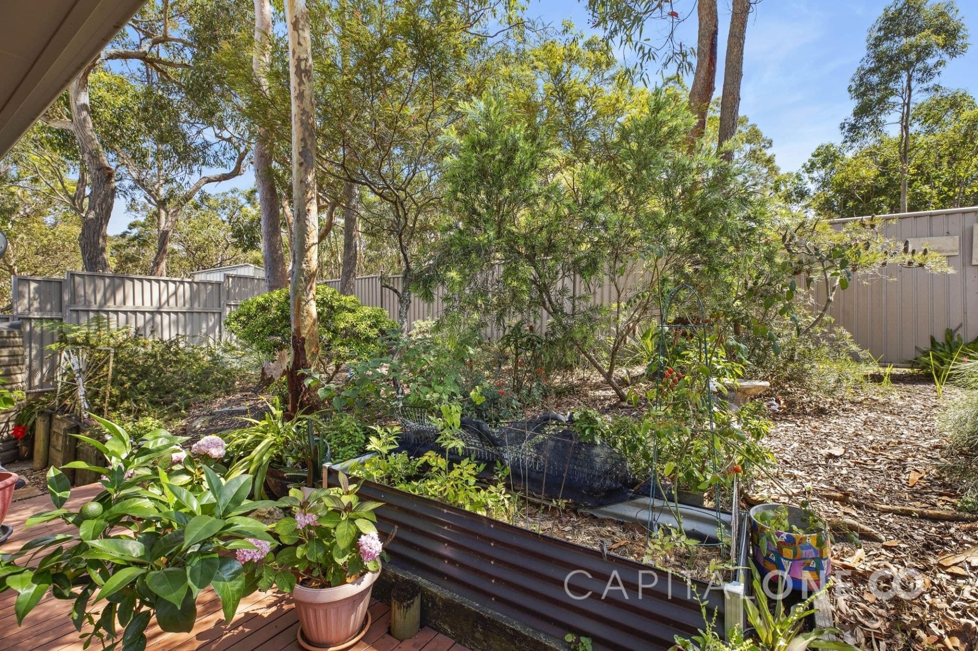 7/2 Saliena Avenue, Lake Munmorah NSW, Lake Munmorah - Thumbnail 3
