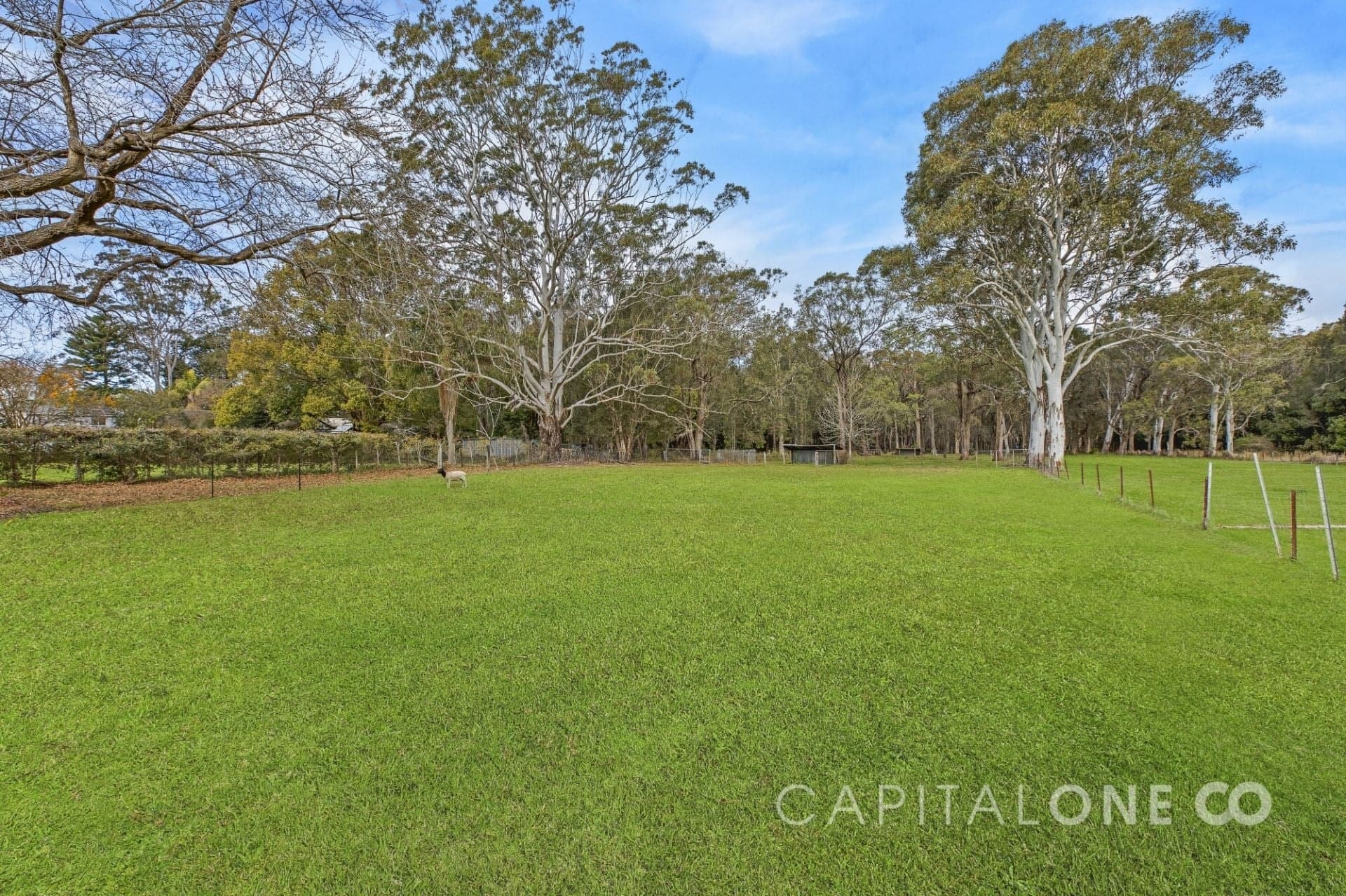 68 South Tacoma Road, Tacoma South NSW, Tacoma South - Thumbnail 8