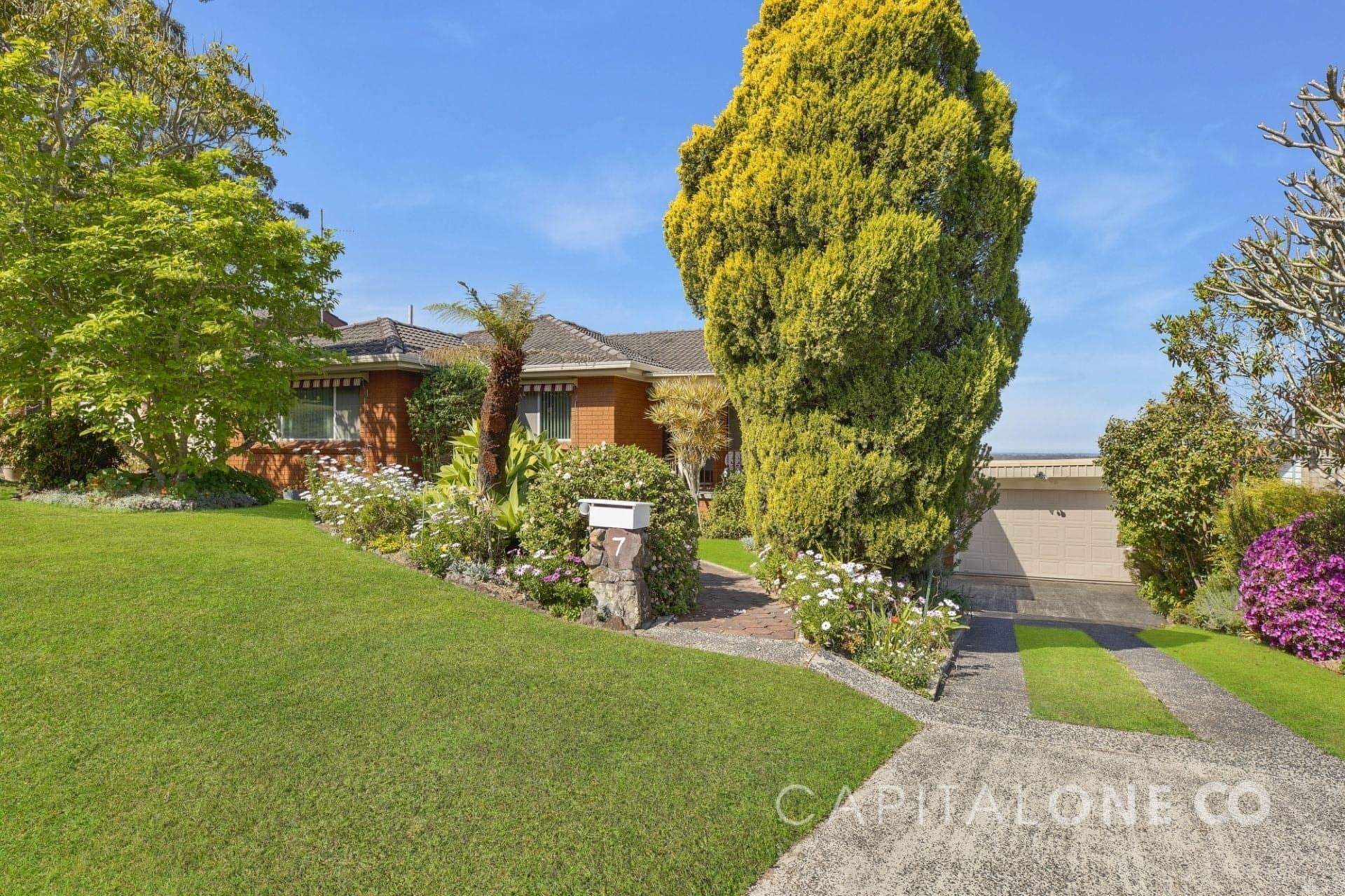 7 William Street, Wyong NSW, Wyong - Thumbnail 2