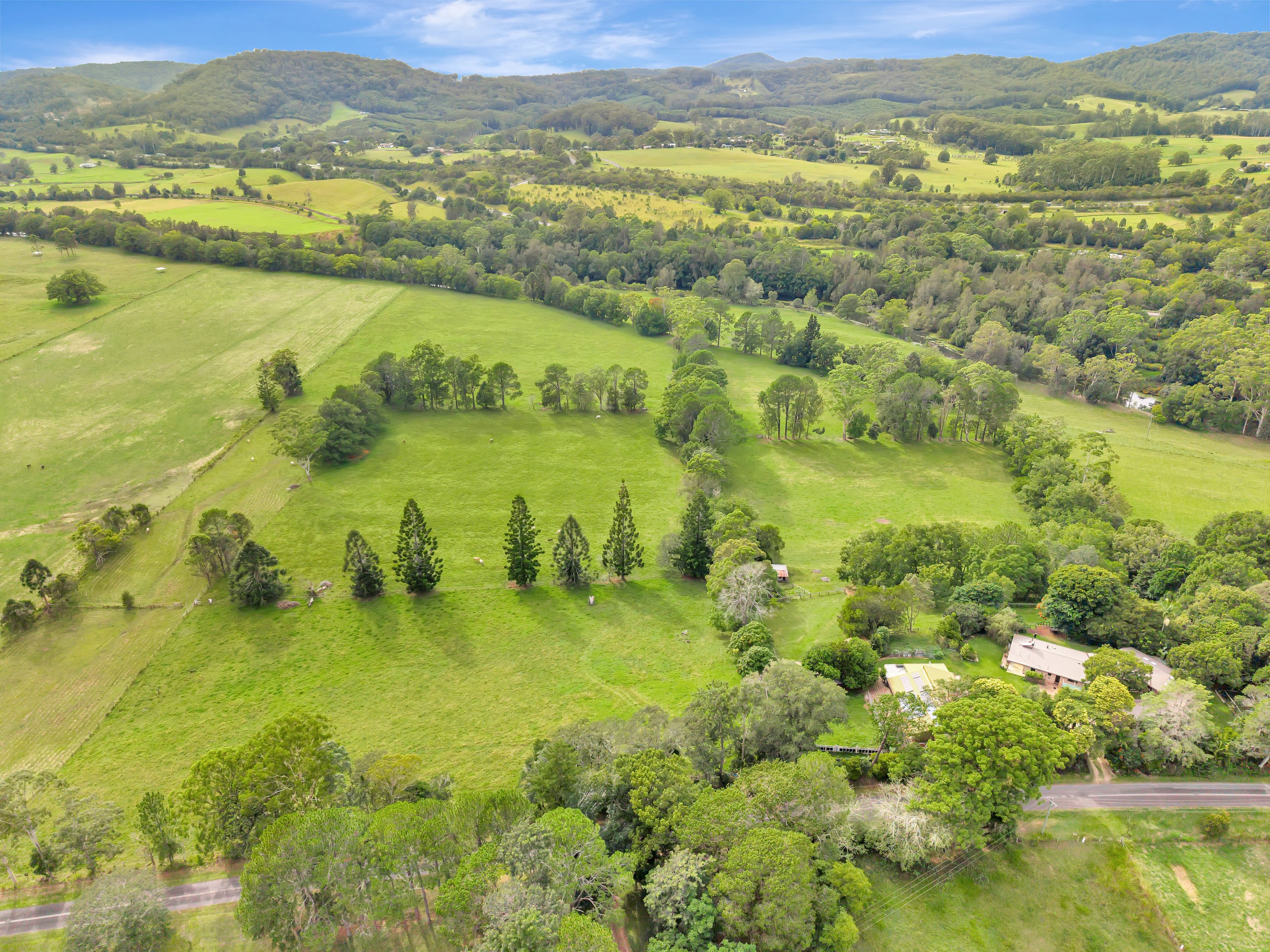389 Upper Warrell Creek Road, Congarinni NSW 2447, Congarinni - Thumbnail 2