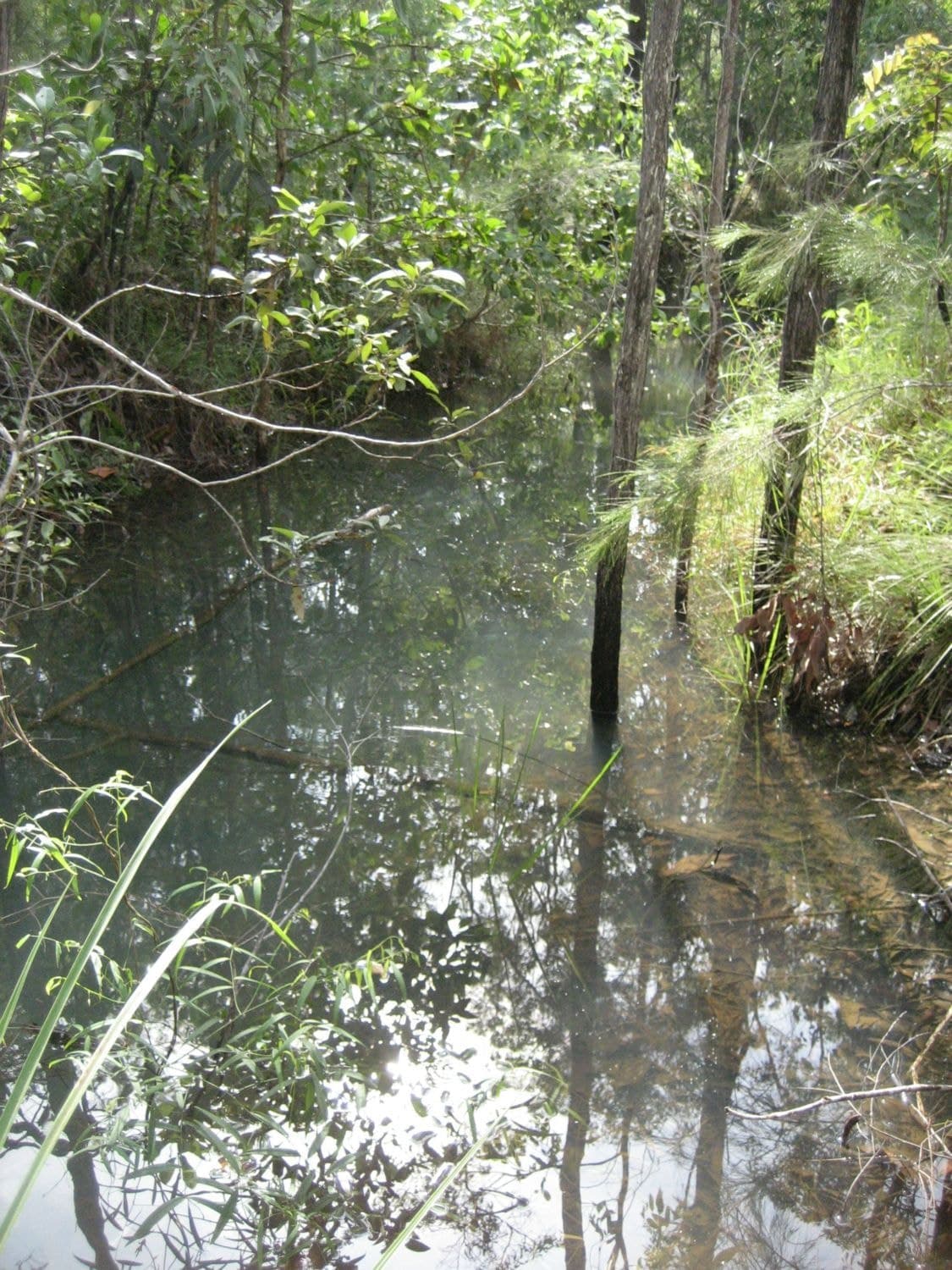 Lot 27 Cycad Crescent, Ellerbeck QLD 4816, Ellerbeck - Thumbnail 3