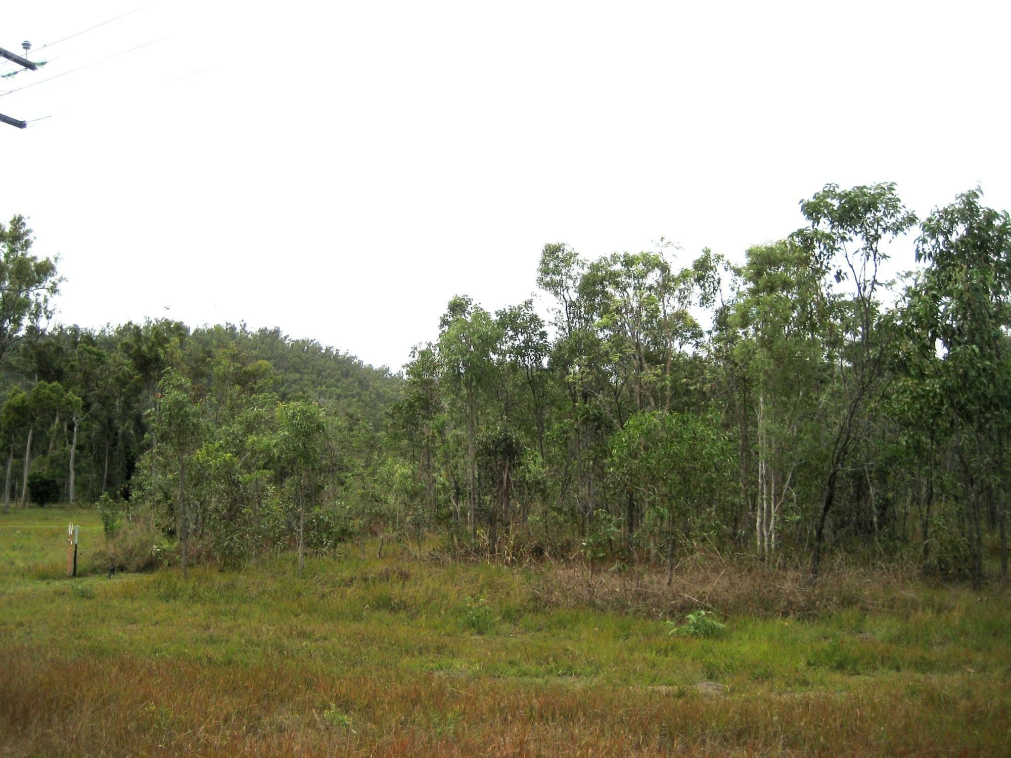 Lot 2 Ellerbeck Road, Ellerbeck QLD 4816, Ellerbeck - Image 1