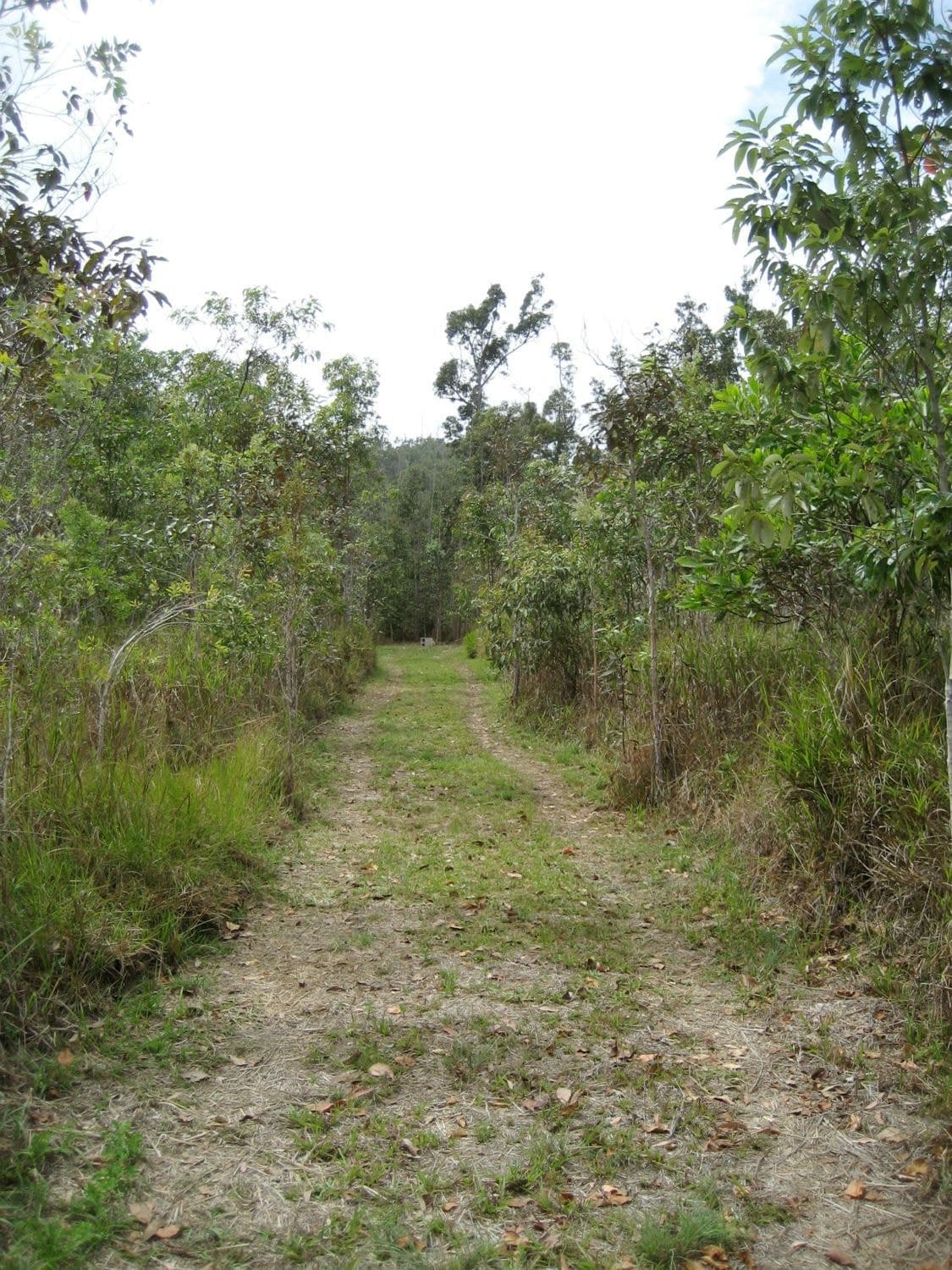 Lot 2 Ellerbeck Road, Ellerbeck QLD 4816, Ellerbeck - Thumbnail 5