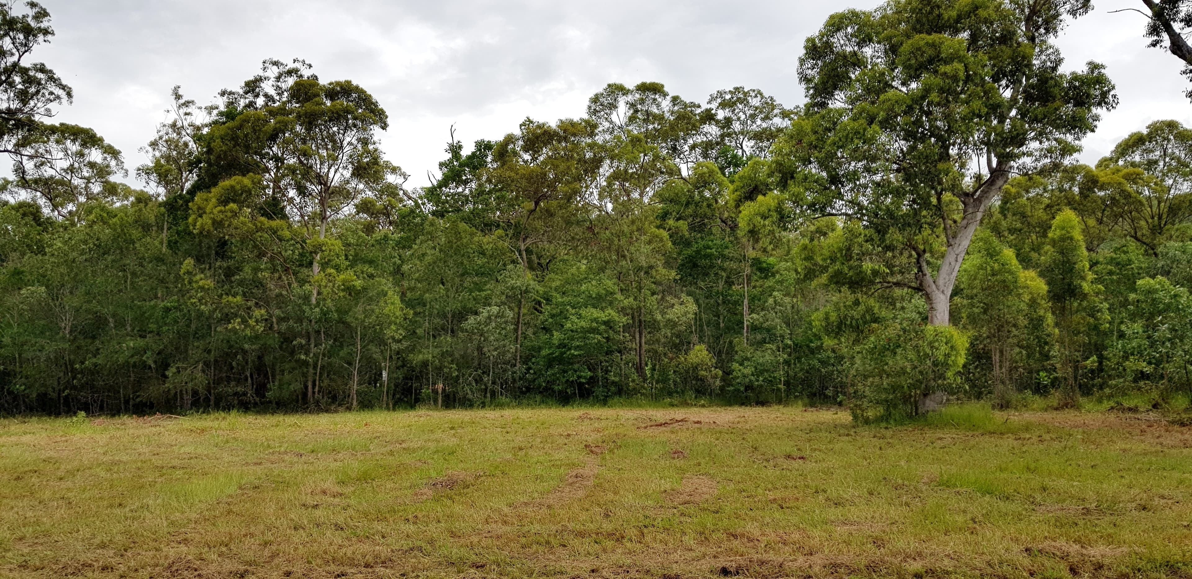Lot 28 Cycad Crescent, Ellerbeck QLD 4816, Ellerbeck - Thumbnail 2