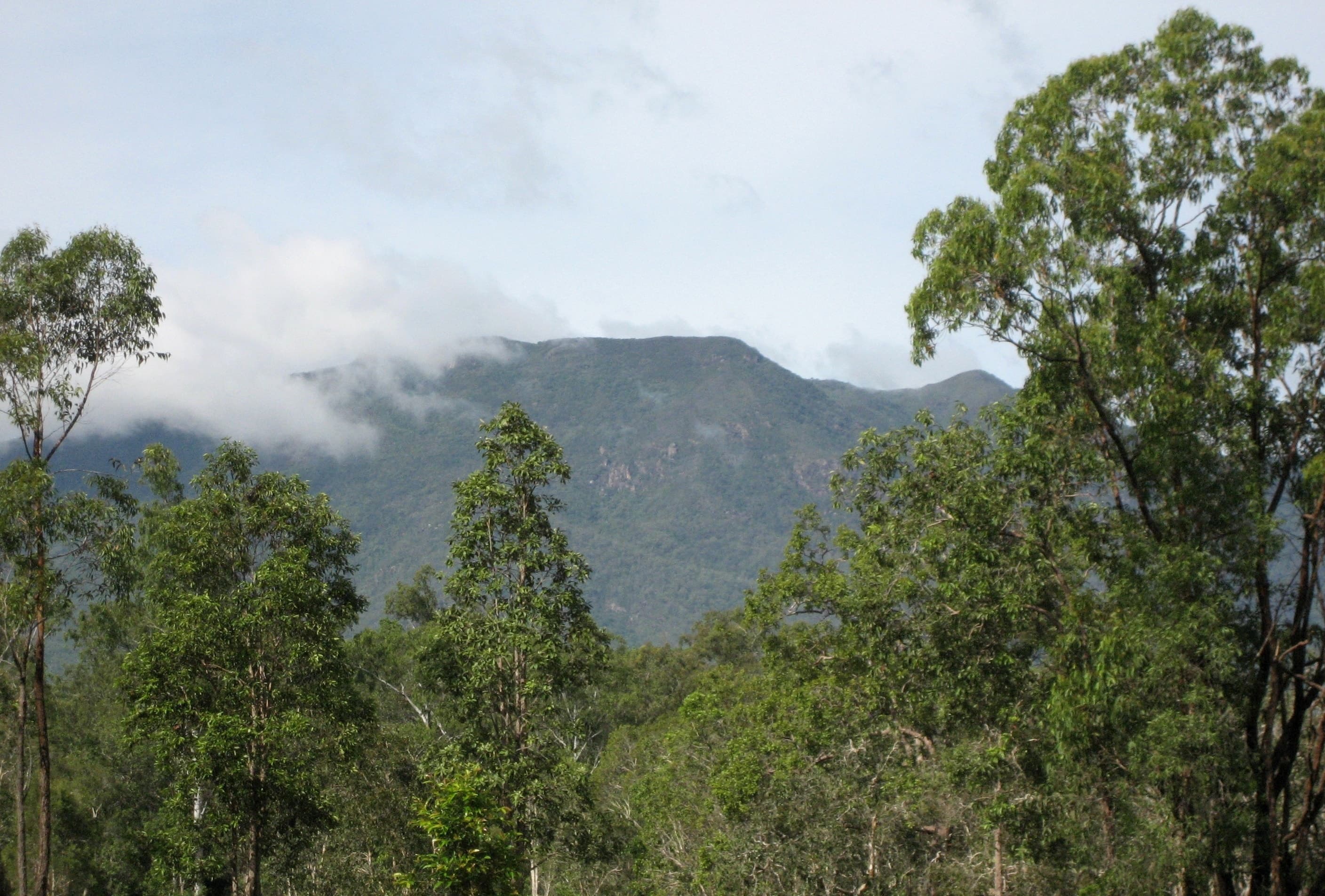 Lot 28 Cycad Crescent, Ellerbeck QLD 4816, Ellerbeck - Thumbnail 3