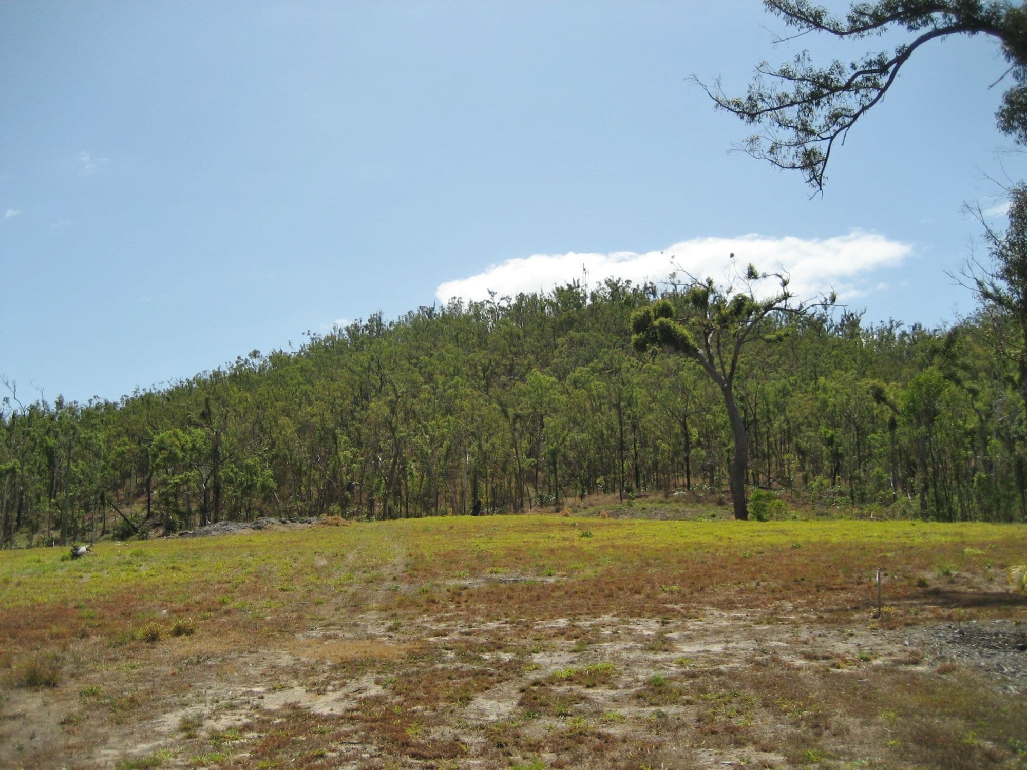 Lot 24 Cycad Crescent, Ellerbeck QLD 4816, Ellerbeck - Thumbnail 5