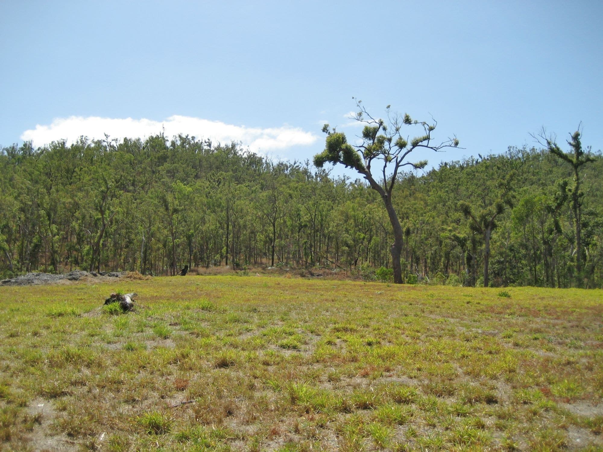 Lot 24 Cycad Crescent, Ellerbeck QLD 4816, Ellerbeck - Thumbnail 6