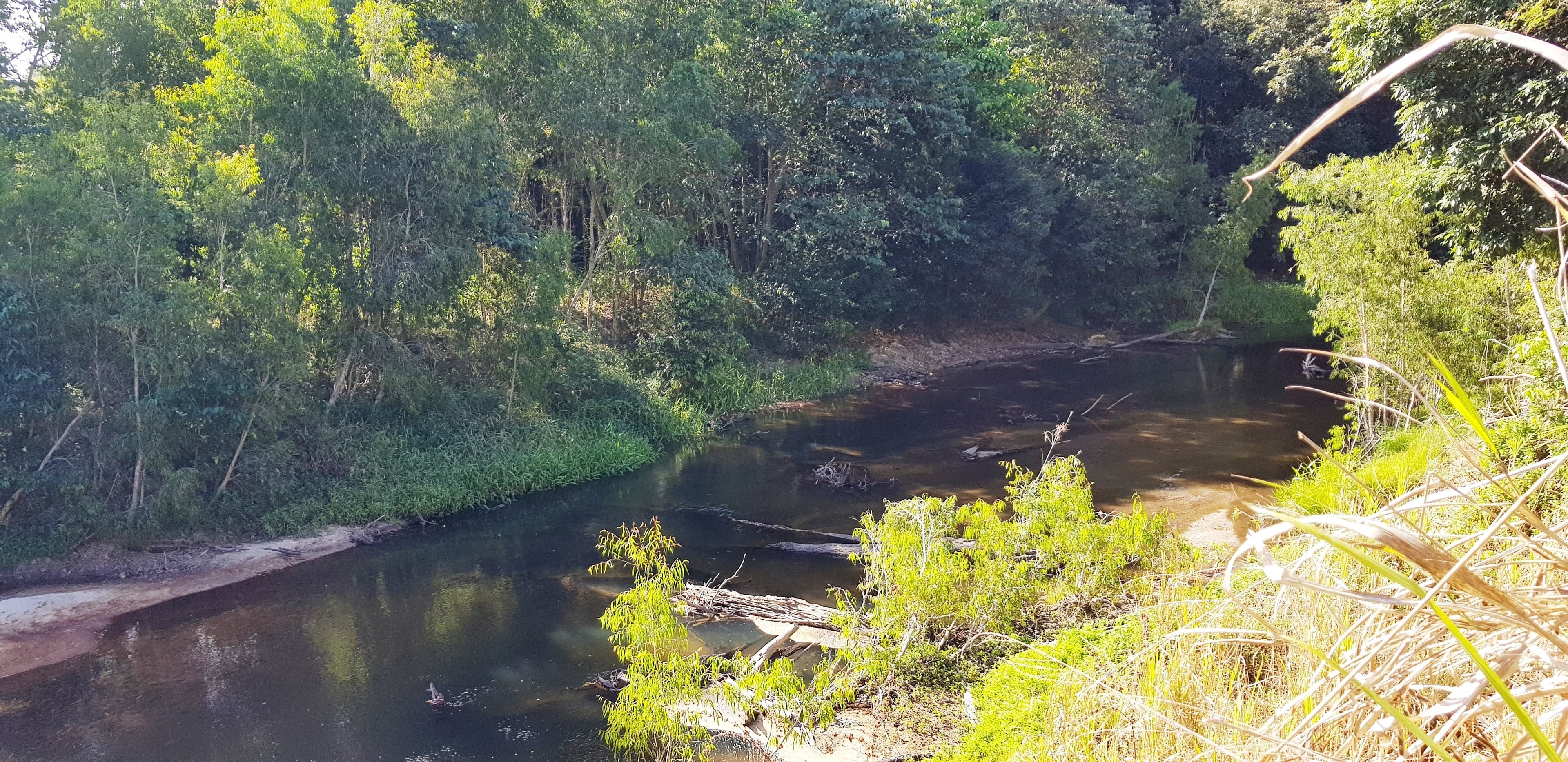 LOT 9 Bauhinia Dr, Carruchan QLD 4816, Carruchan - Thumbnail 2