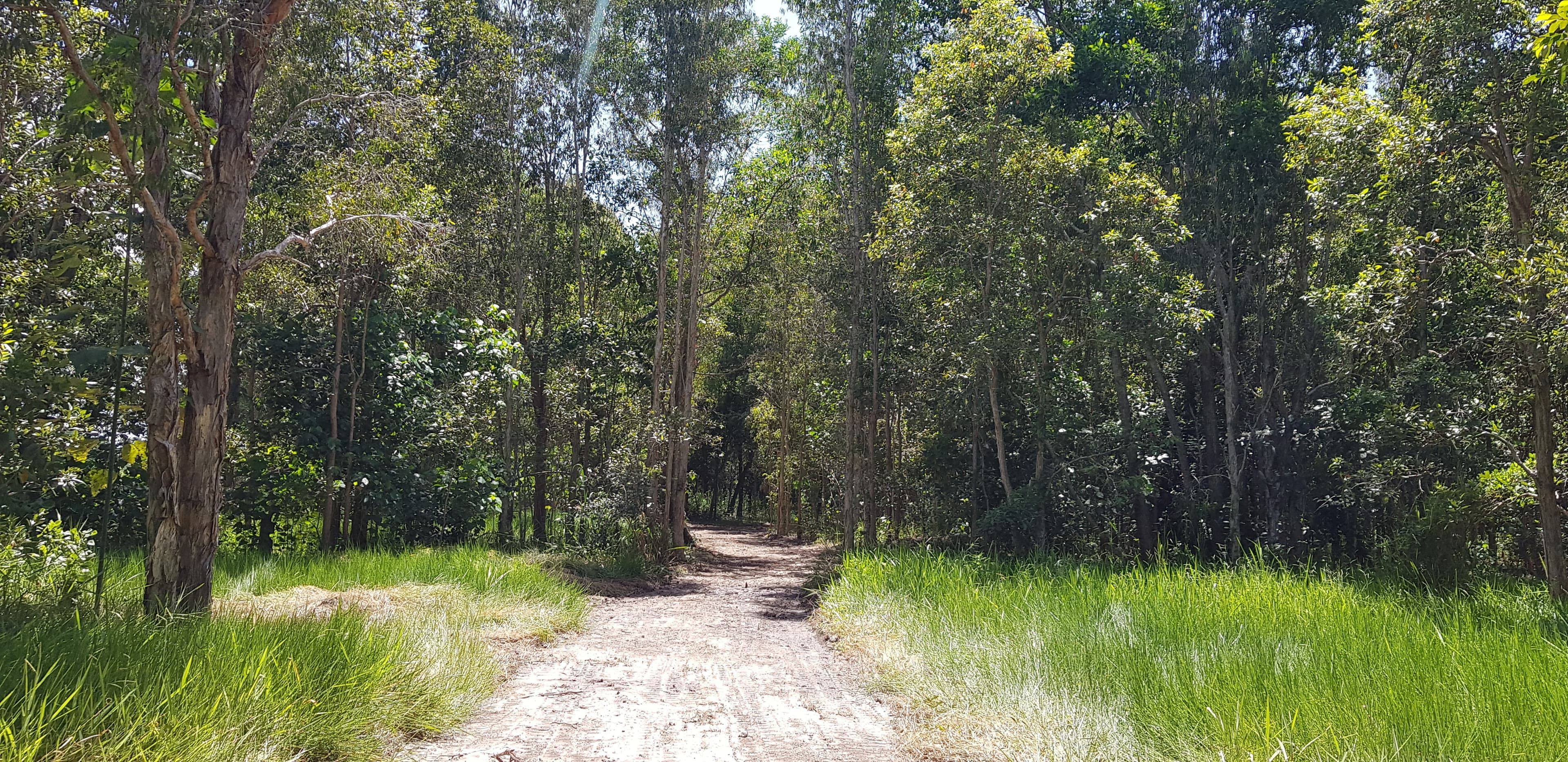 Lot 1 Bruce Highway, Ellerbeck QLD 4816, Ellerbeck - Thumbnail 2