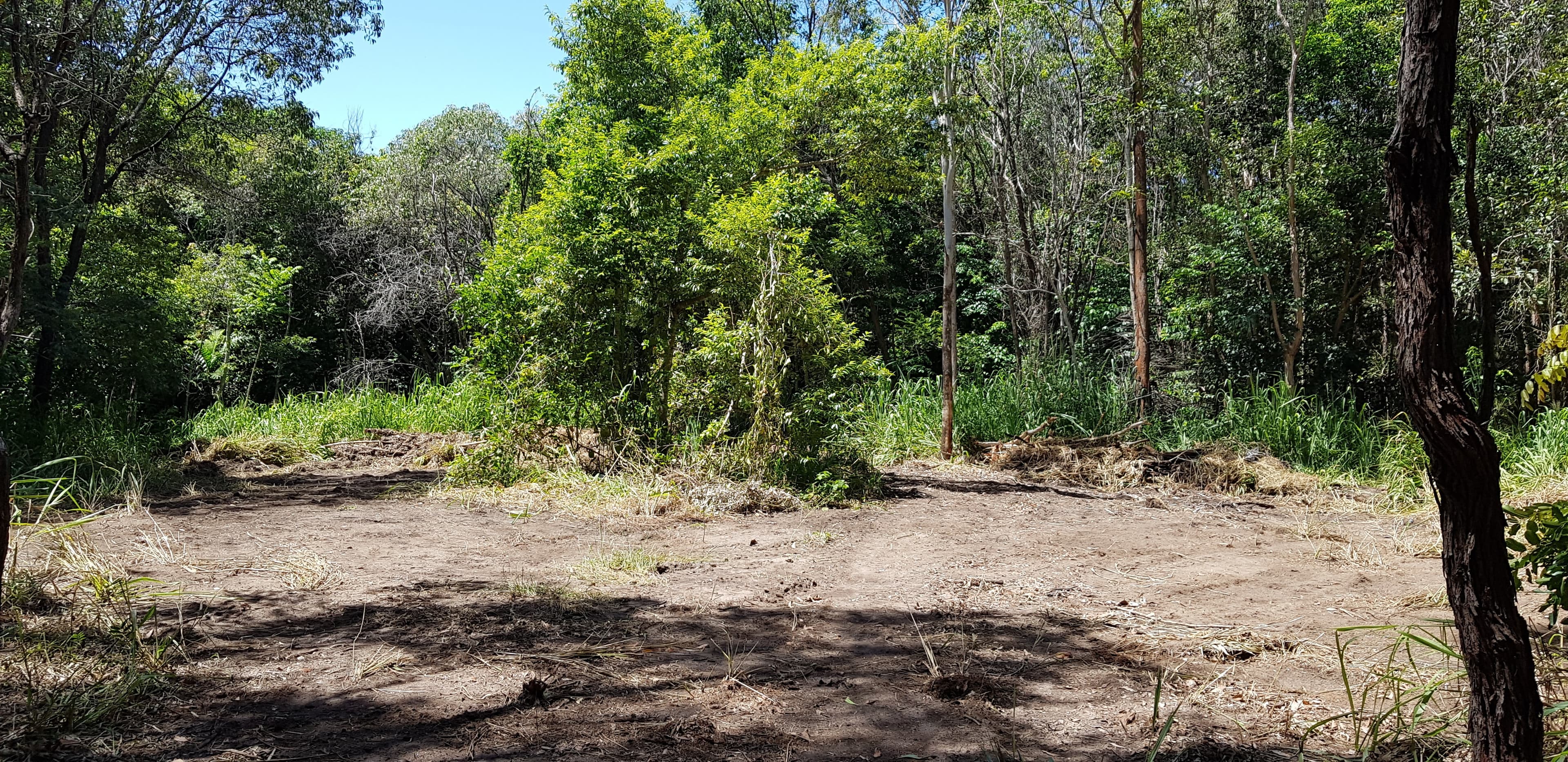 Lot 1 Bruce Highway, Ellerbeck QLD 4816, Ellerbeck - Thumbnail 3