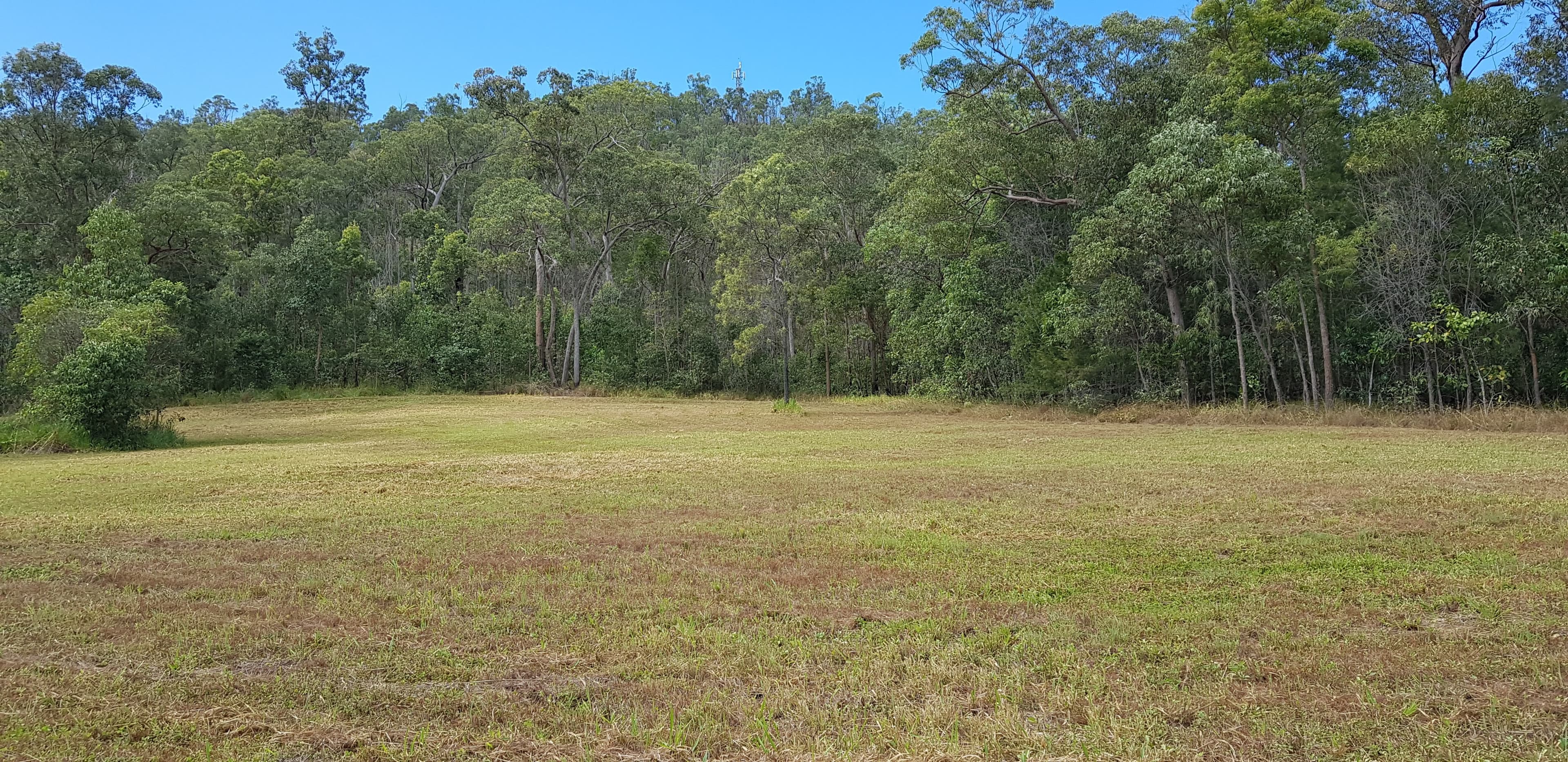Lot 38 Grass Tree Court, Ellerbeck QLD 4816, Ellerbeck - Thumbnail 3