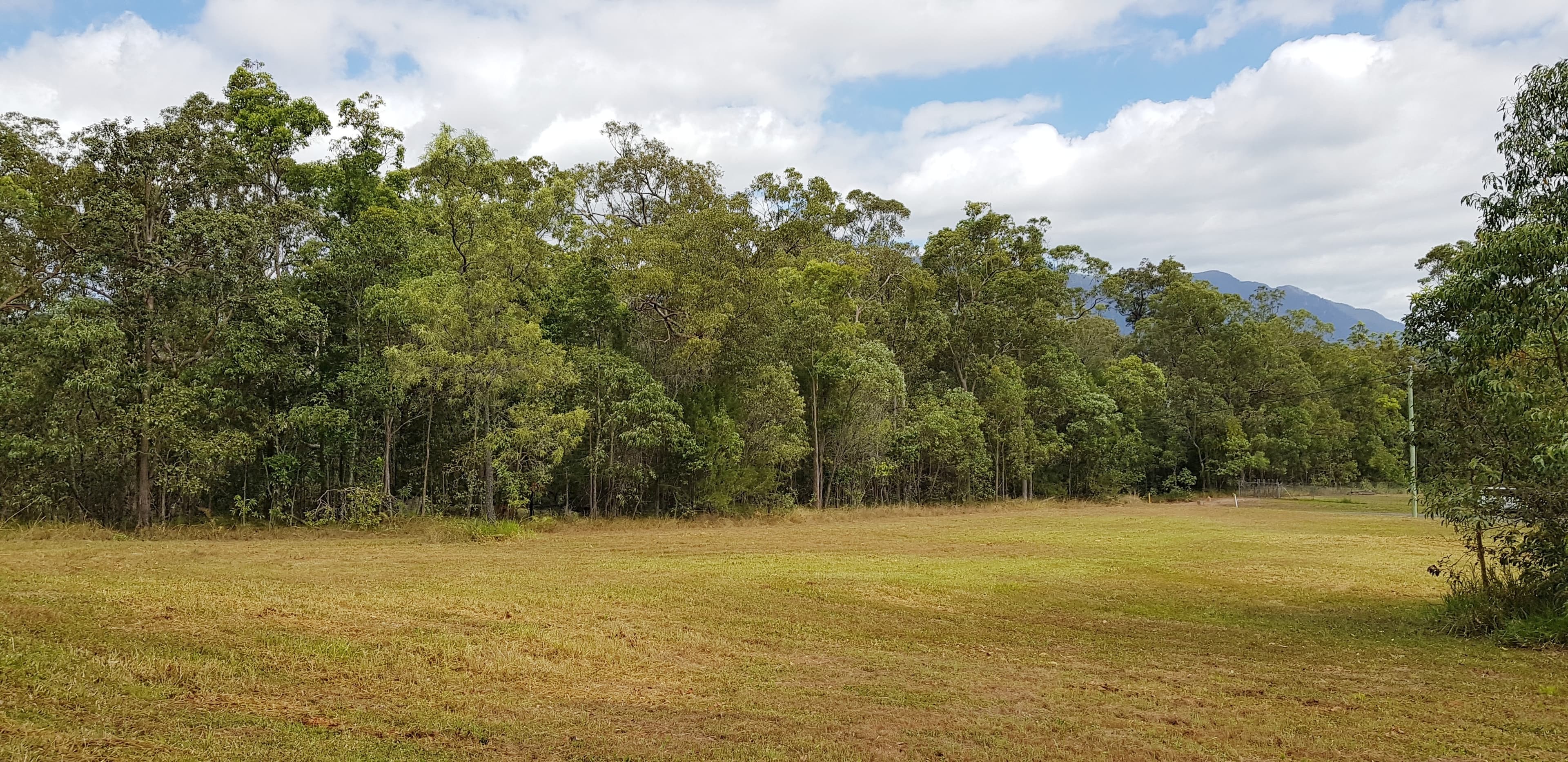 Lot 38 Grass Tree Court, Ellerbeck QLD 4816, Ellerbeck - Thumbnail 5