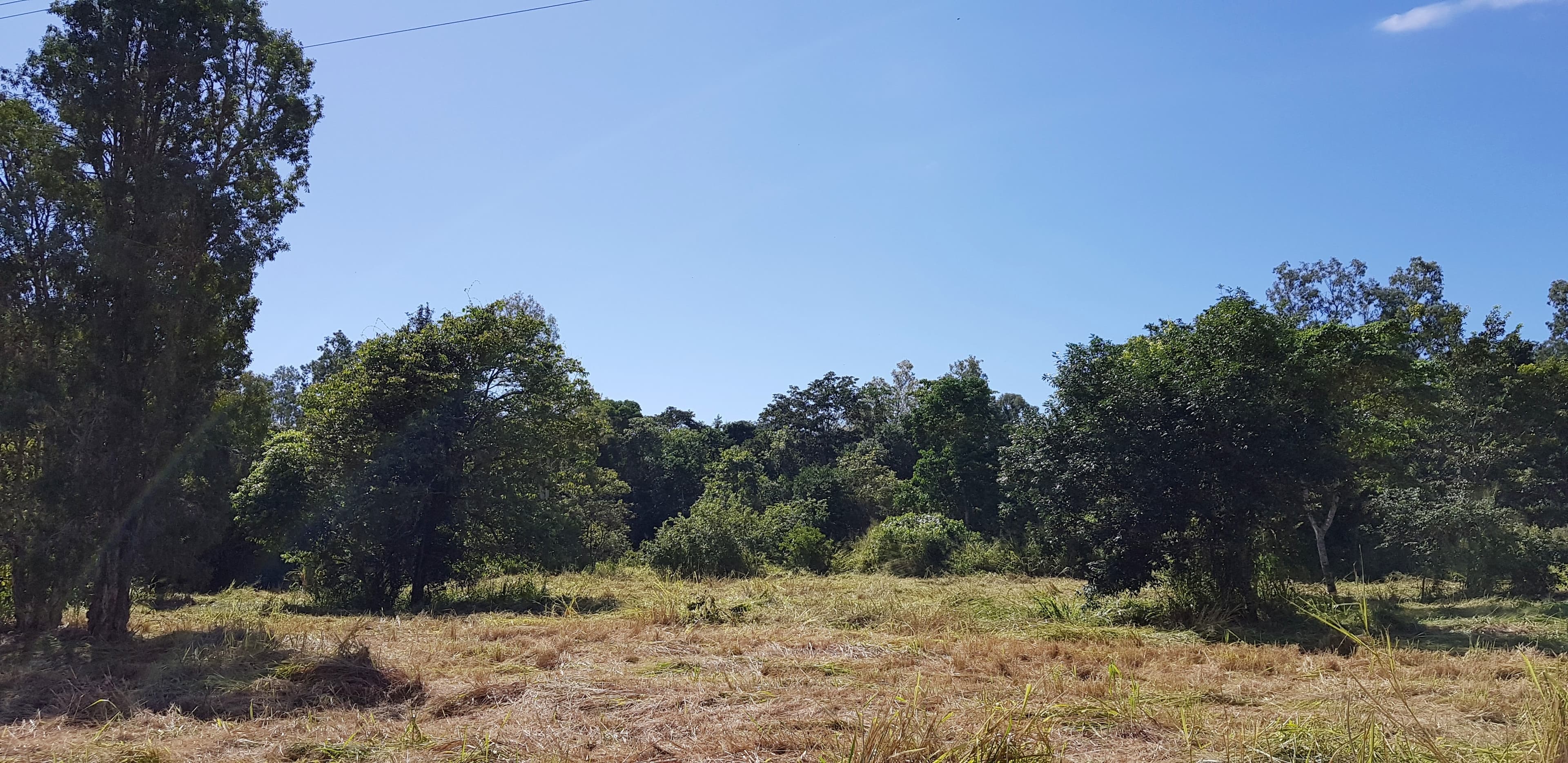 LOT 17 Bruce Hwy, Ellerbeck QLD 4816, Ellerbeck - Image 1