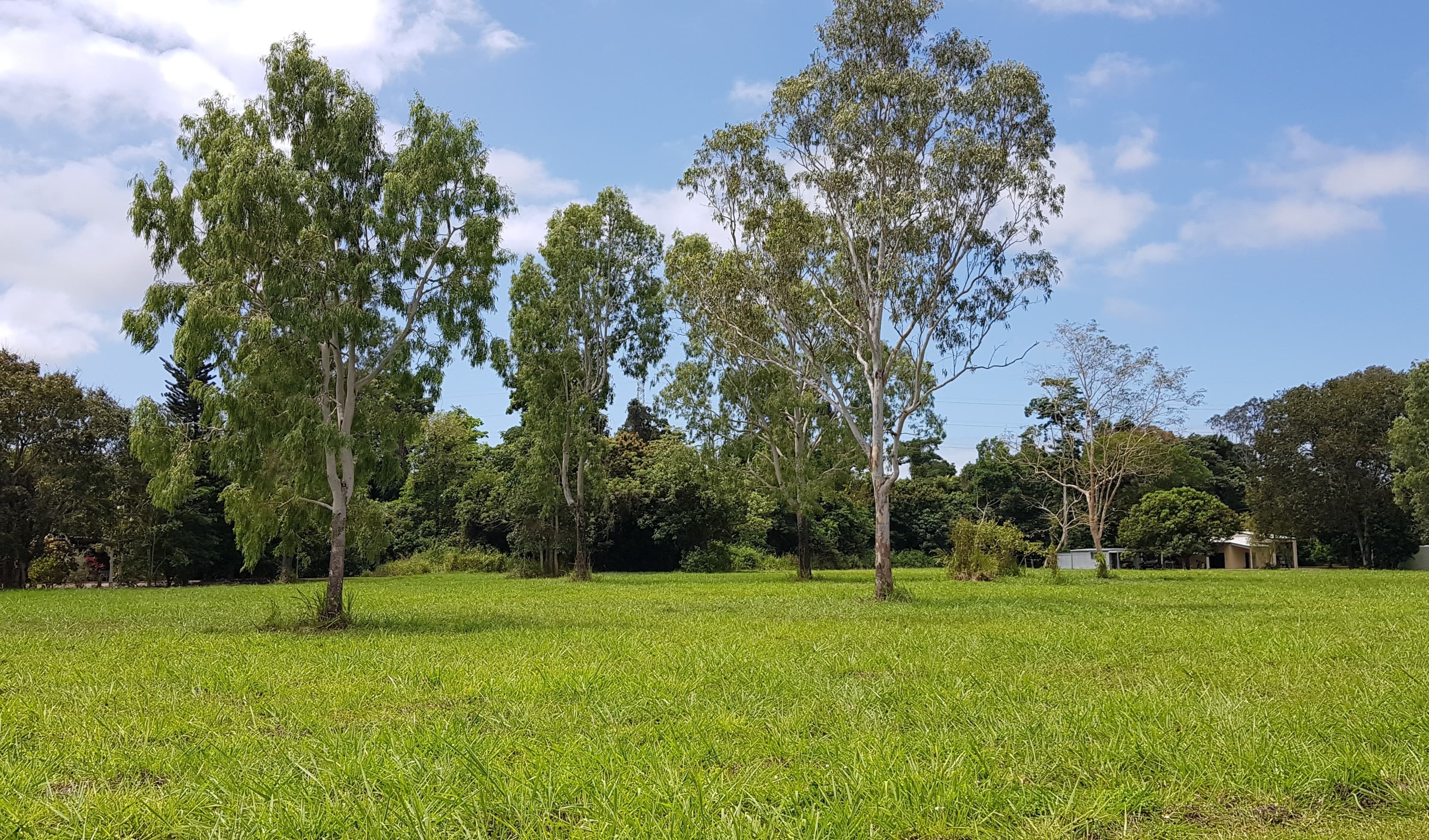 LOT 4 Bauhinia Dr, Carruchan QLD 4816, Carruchan - Thumbnail 3