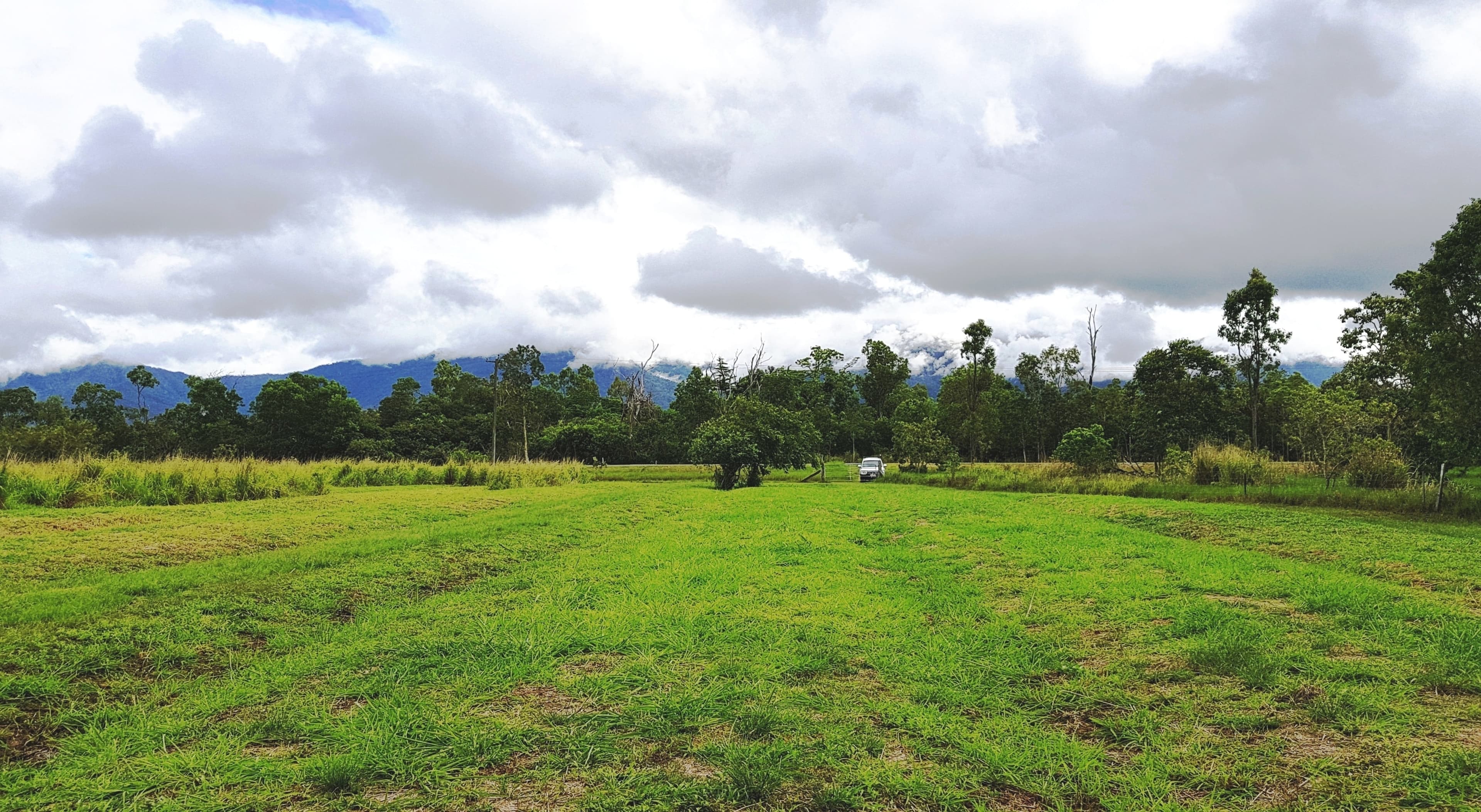 Lot 171 Bruce Hwy, Ellerbeck QLD 4816, Ellerbeck - Thumbnail 2