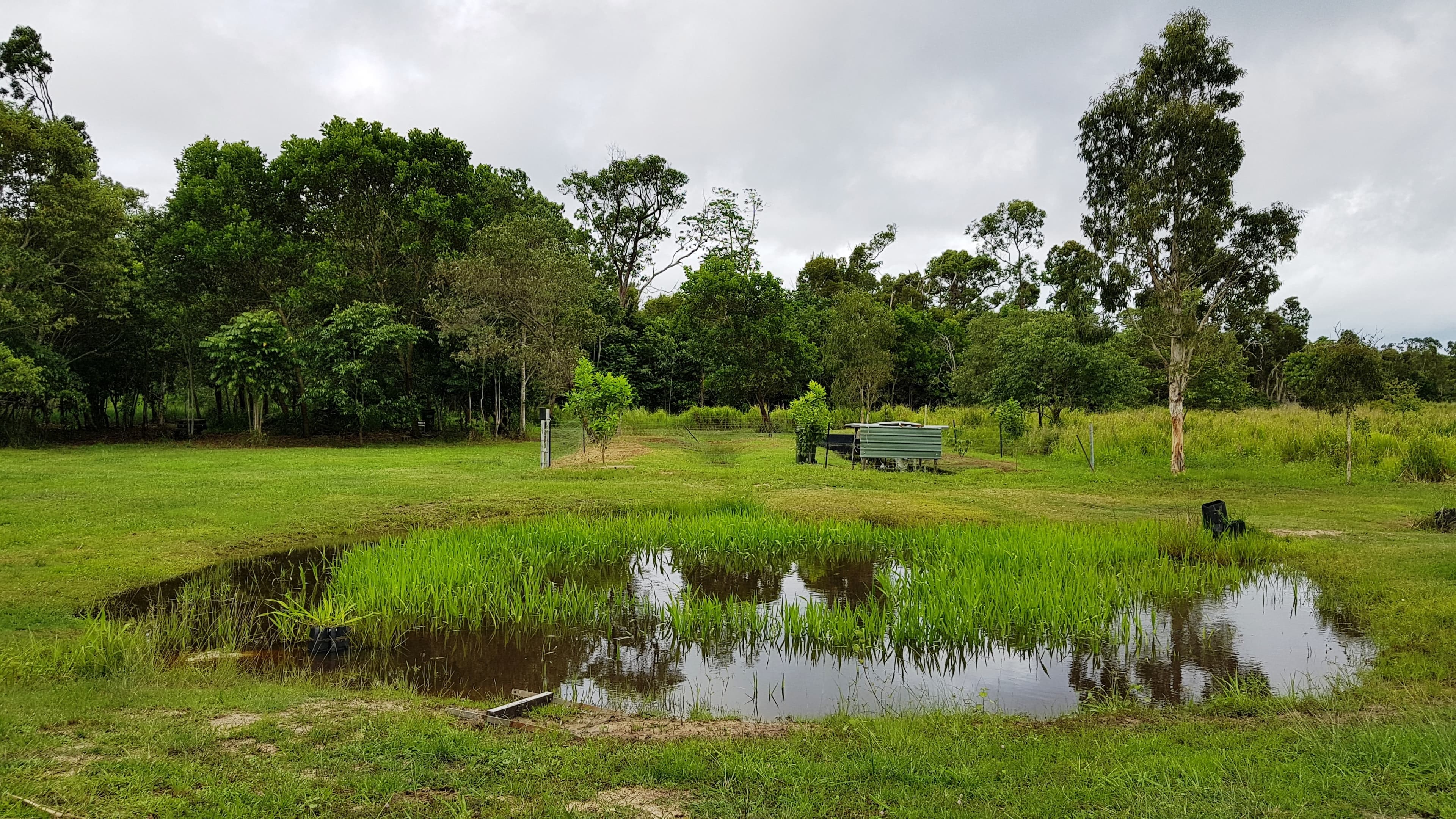 Lot 171 Bruce Hwy, Ellerbeck QLD 4816, Ellerbeck - Thumbnail 3