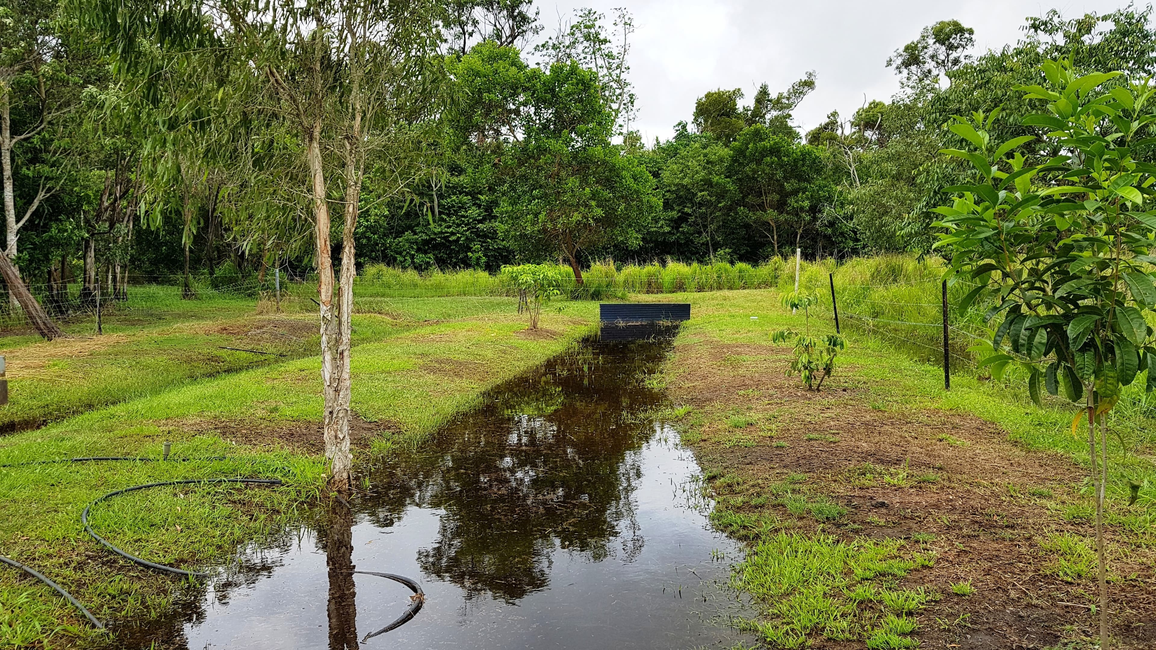 Lot 171 Bruce Hwy, Ellerbeck QLD 4816, Ellerbeck - Thumbnail 4