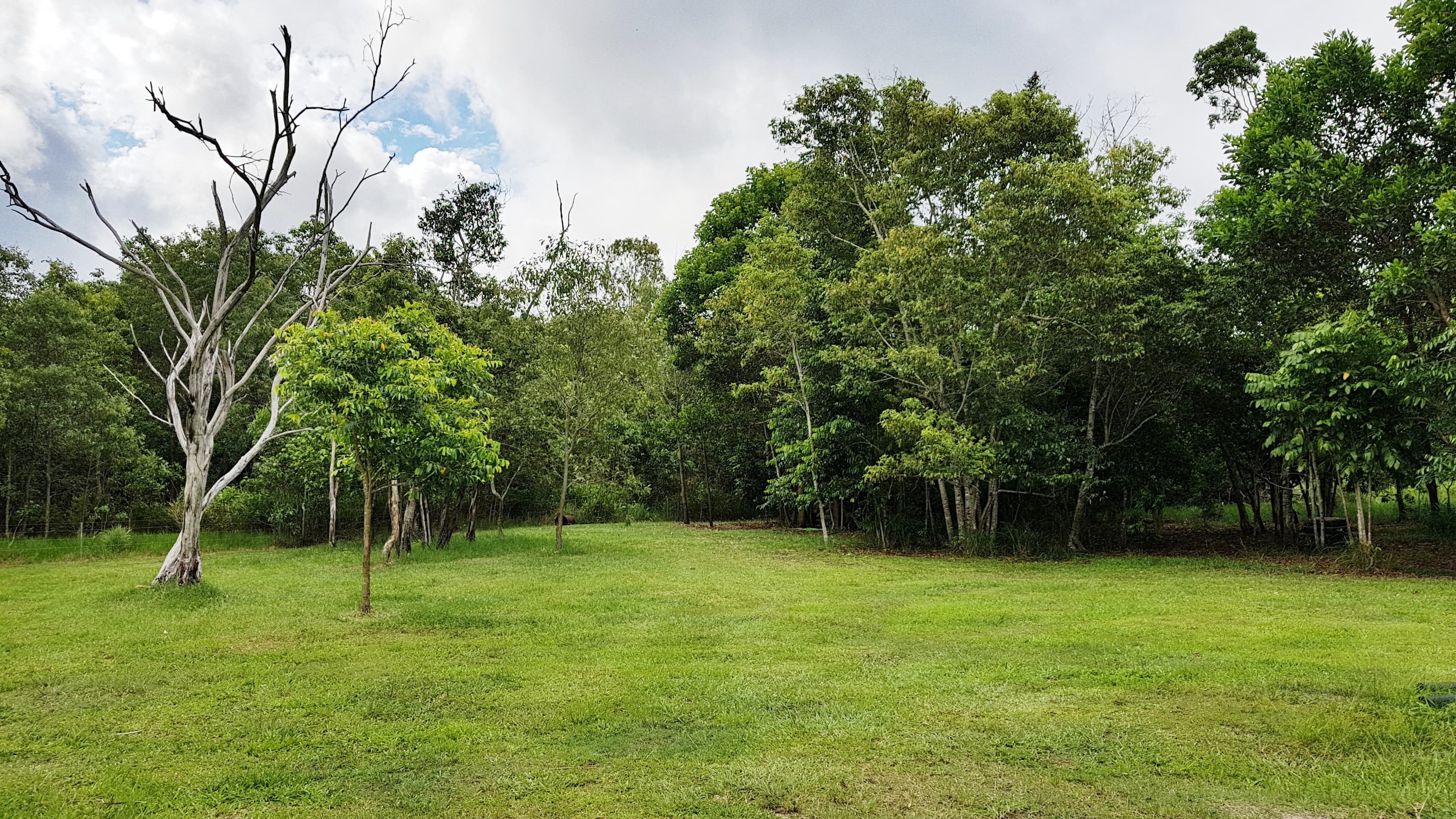 Lot 171 Bruce Hwy, Ellerbeck QLD 4816, Ellerbeck - Thumbnail 5