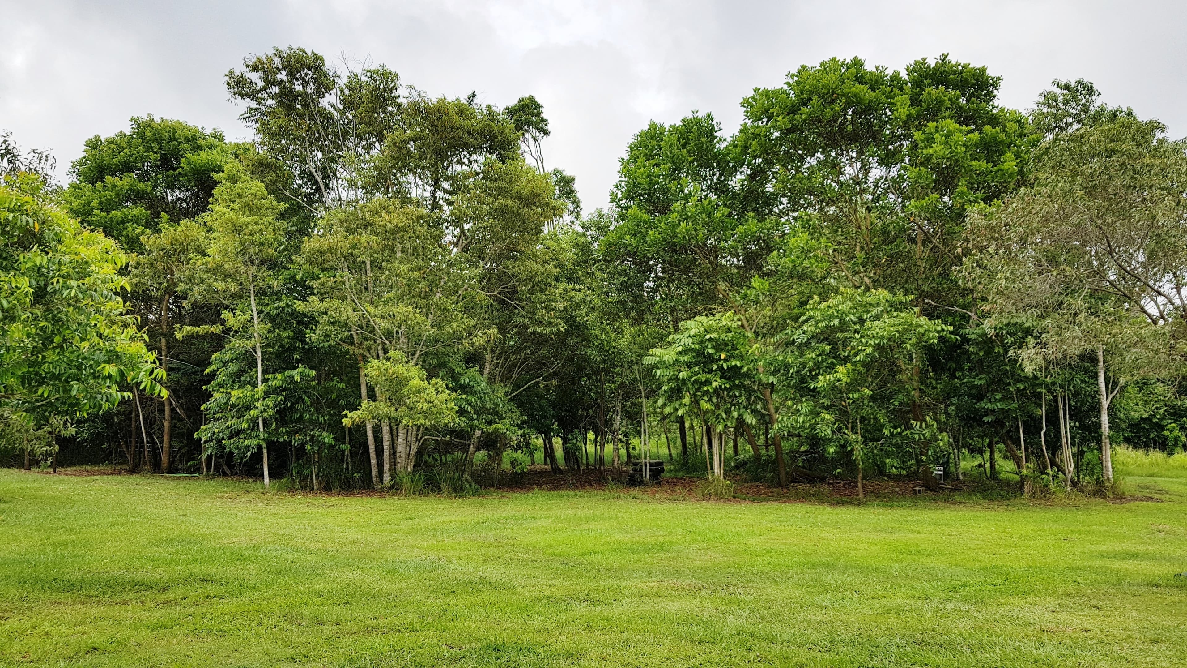 Lot 171 Bruce Hwy, Ellerbeck QLD 4816, Ellerbeck - Thumbnail 6
