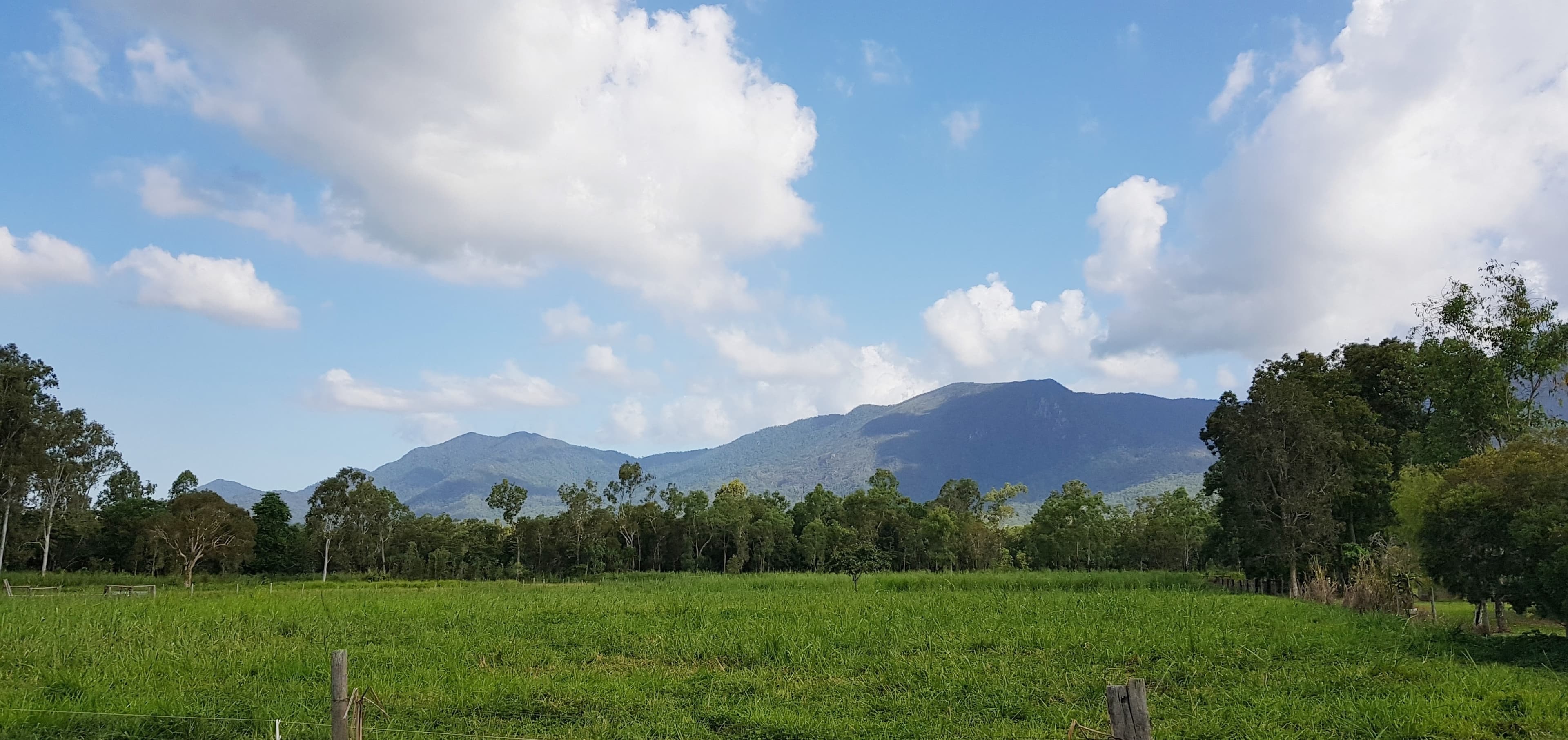 LOT 13 Ellerbeck Rd, Carruchan QLD 4816, Carruchan - Thumbnail 2