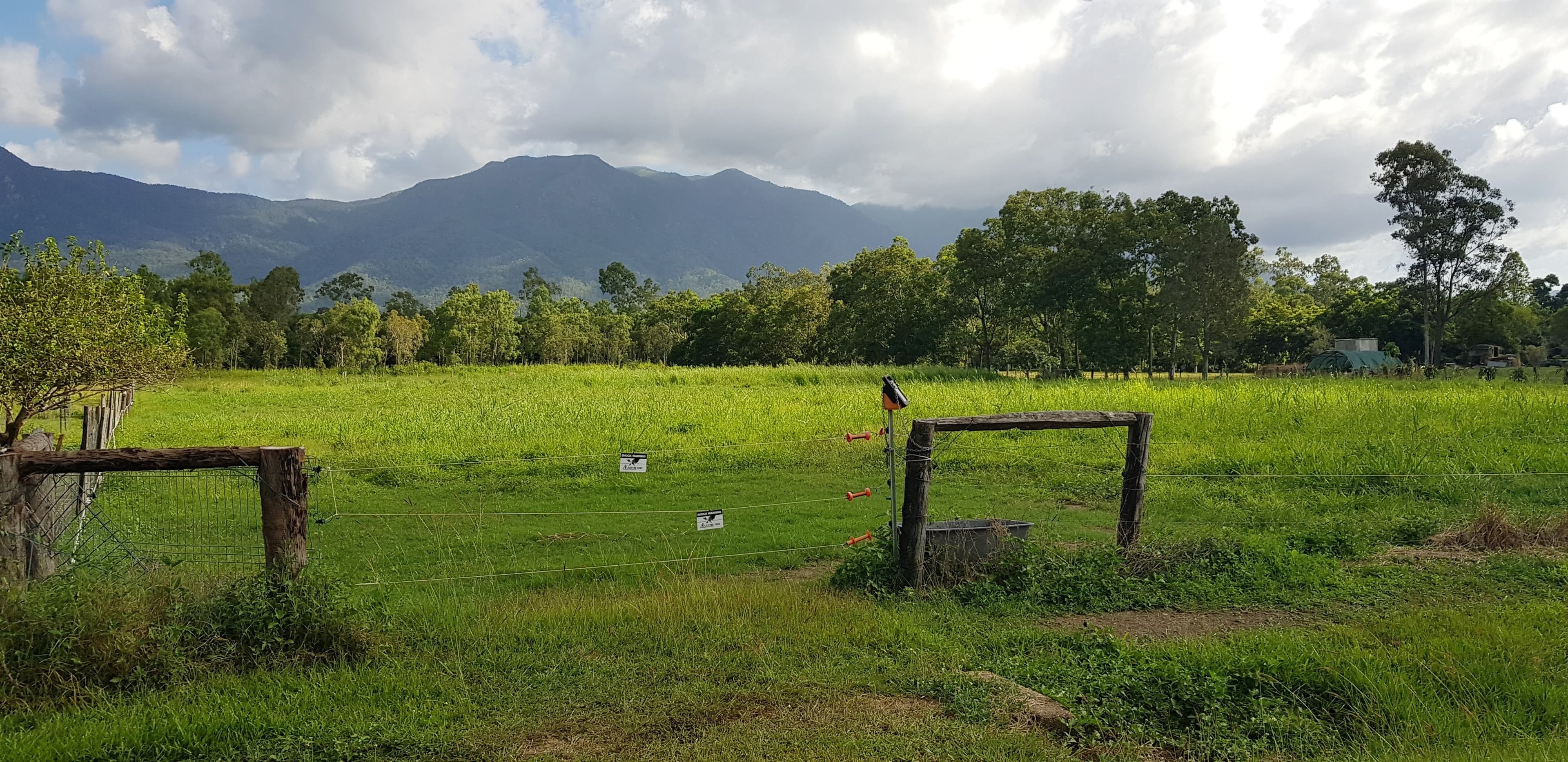 LOT 13 Ellerbeck Rd, Carruchan QLD 4816, Carruchan - Thumbnail 3