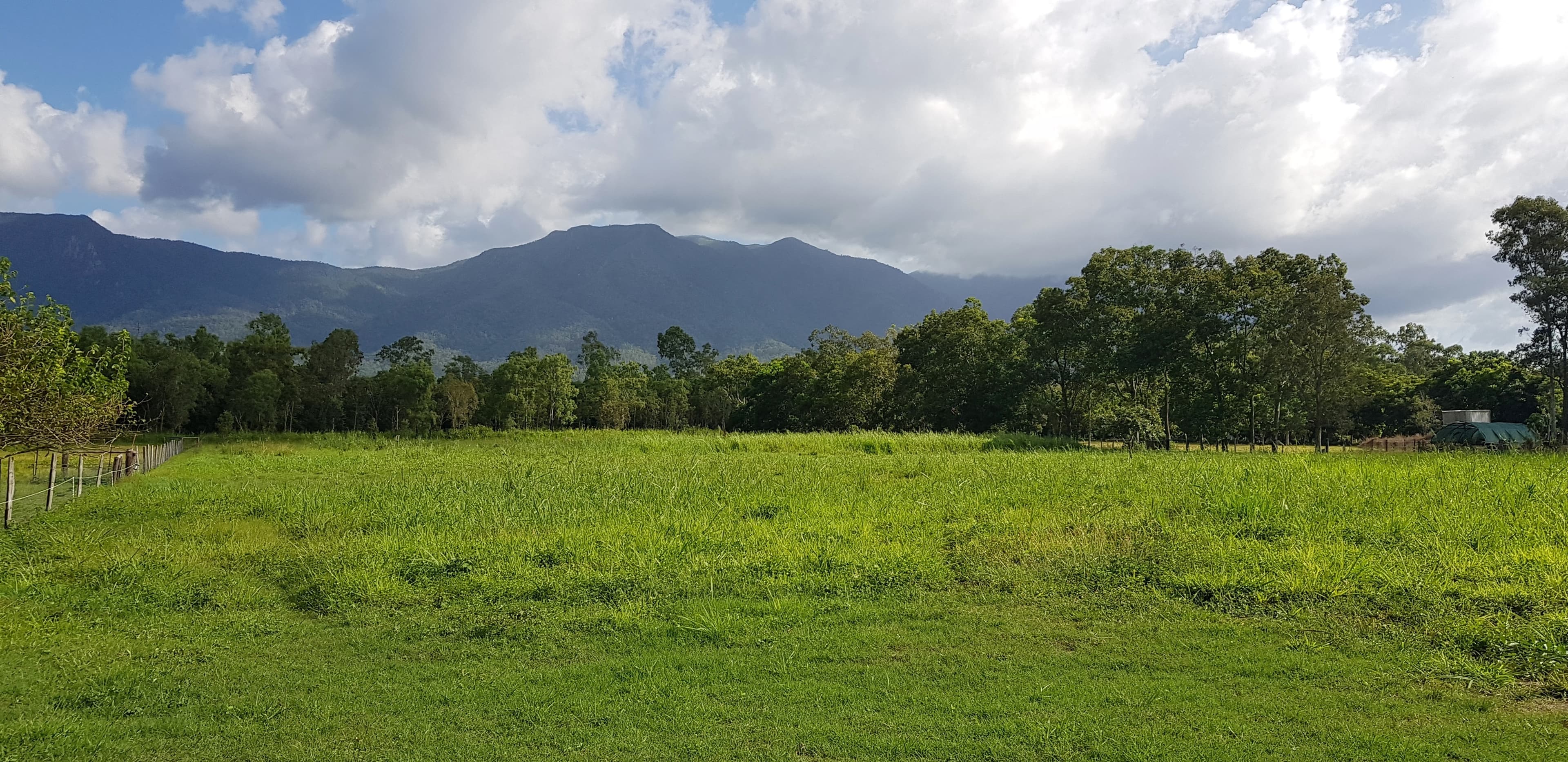 LOT 13 Ellerbeck Rd, Carruchan QLD 4816, Carruchan - Thumbnail 4